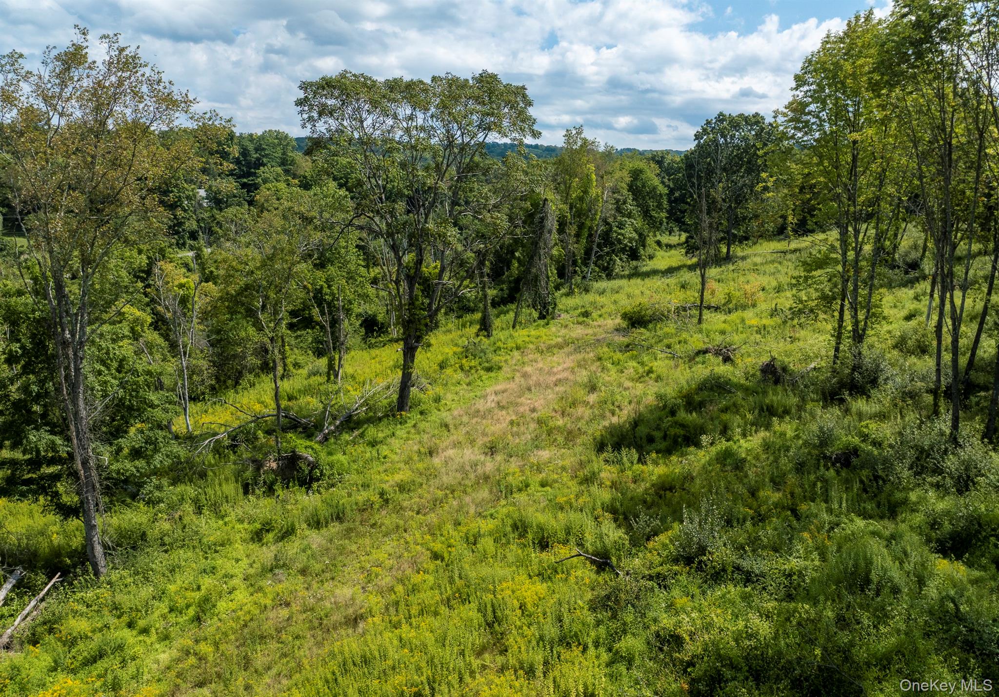 Camby Road – For Sale photo 20