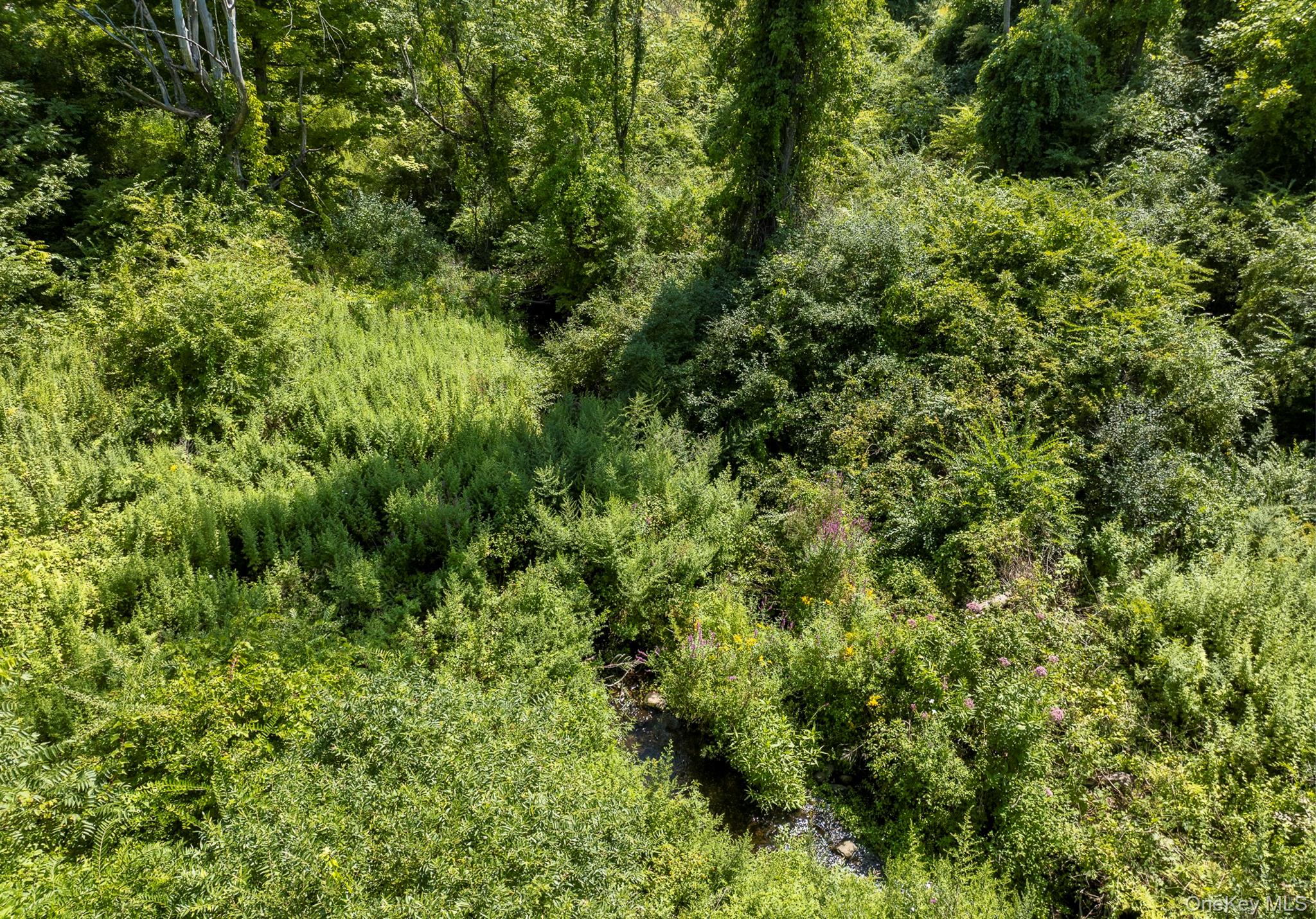 Camby Road – For Sale photo 26