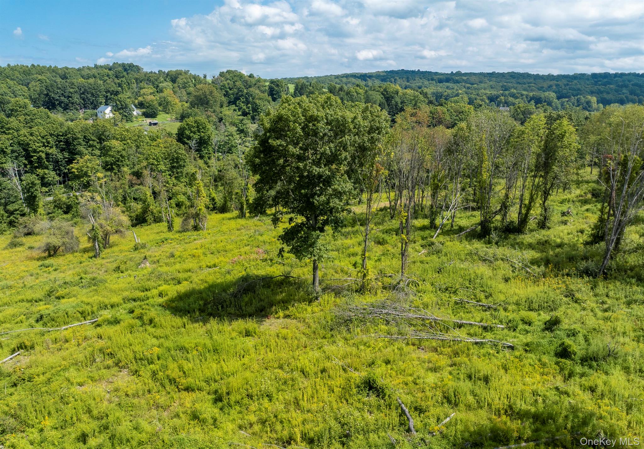 Camby Road – For Sale photo 24