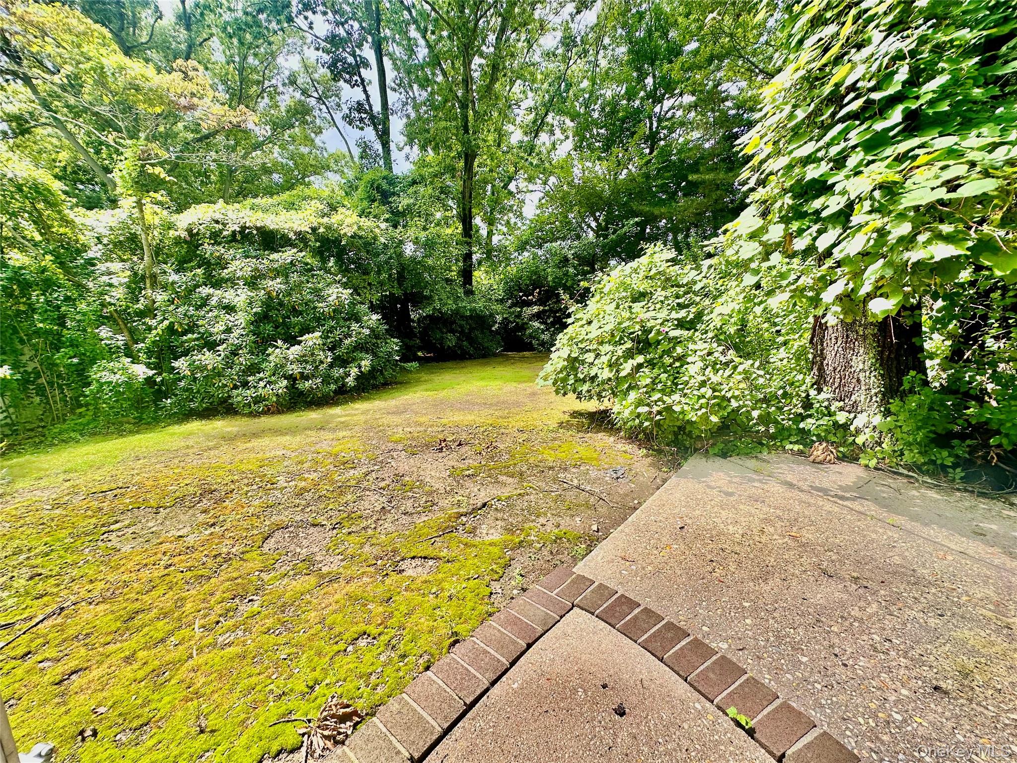 22 Sheppard Lane, Unit B photo 17