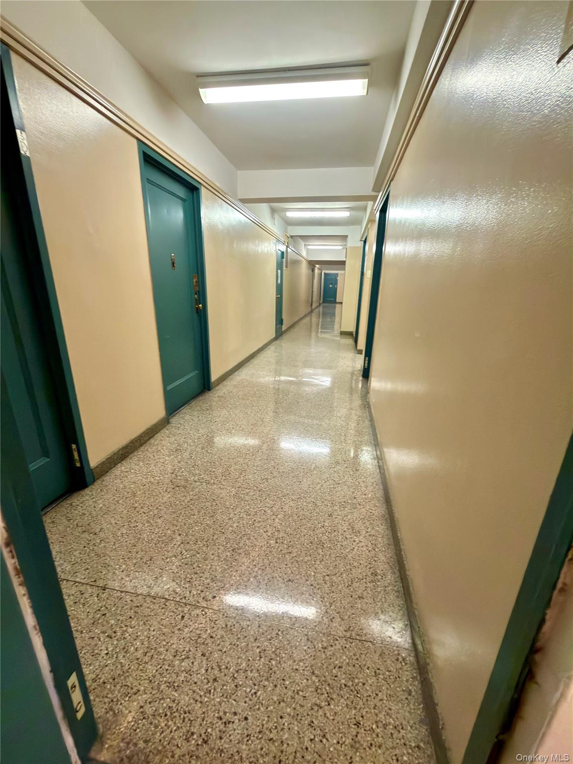 1591 Metropolitan Avenue, Unit 5C photo 5