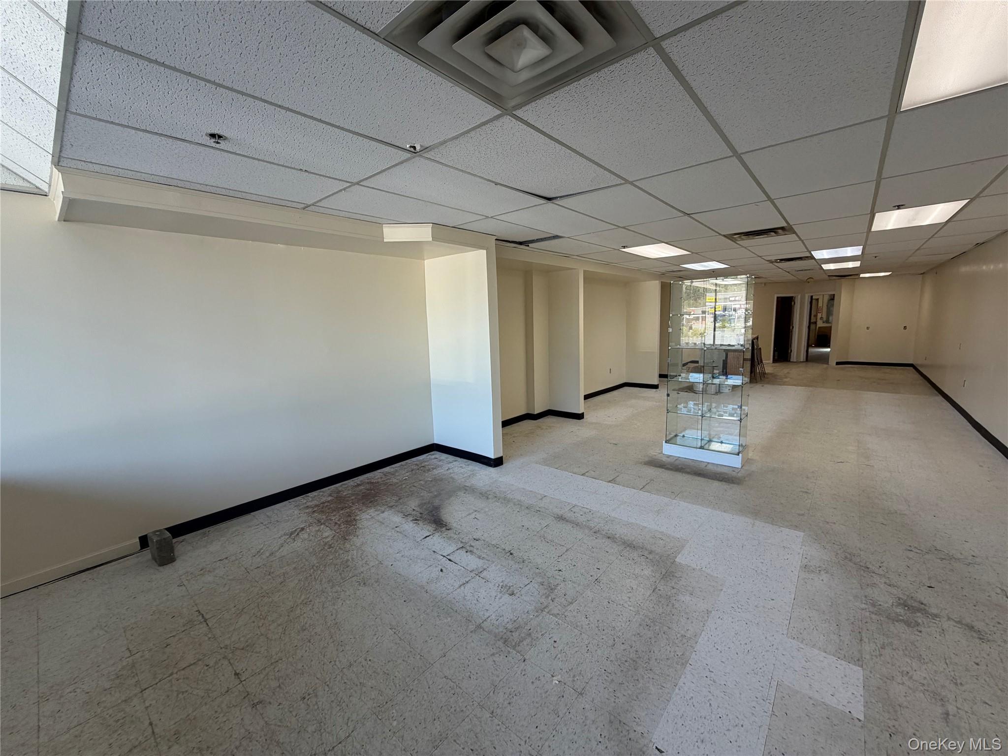 43 Vassar Road – For Rent photo 3