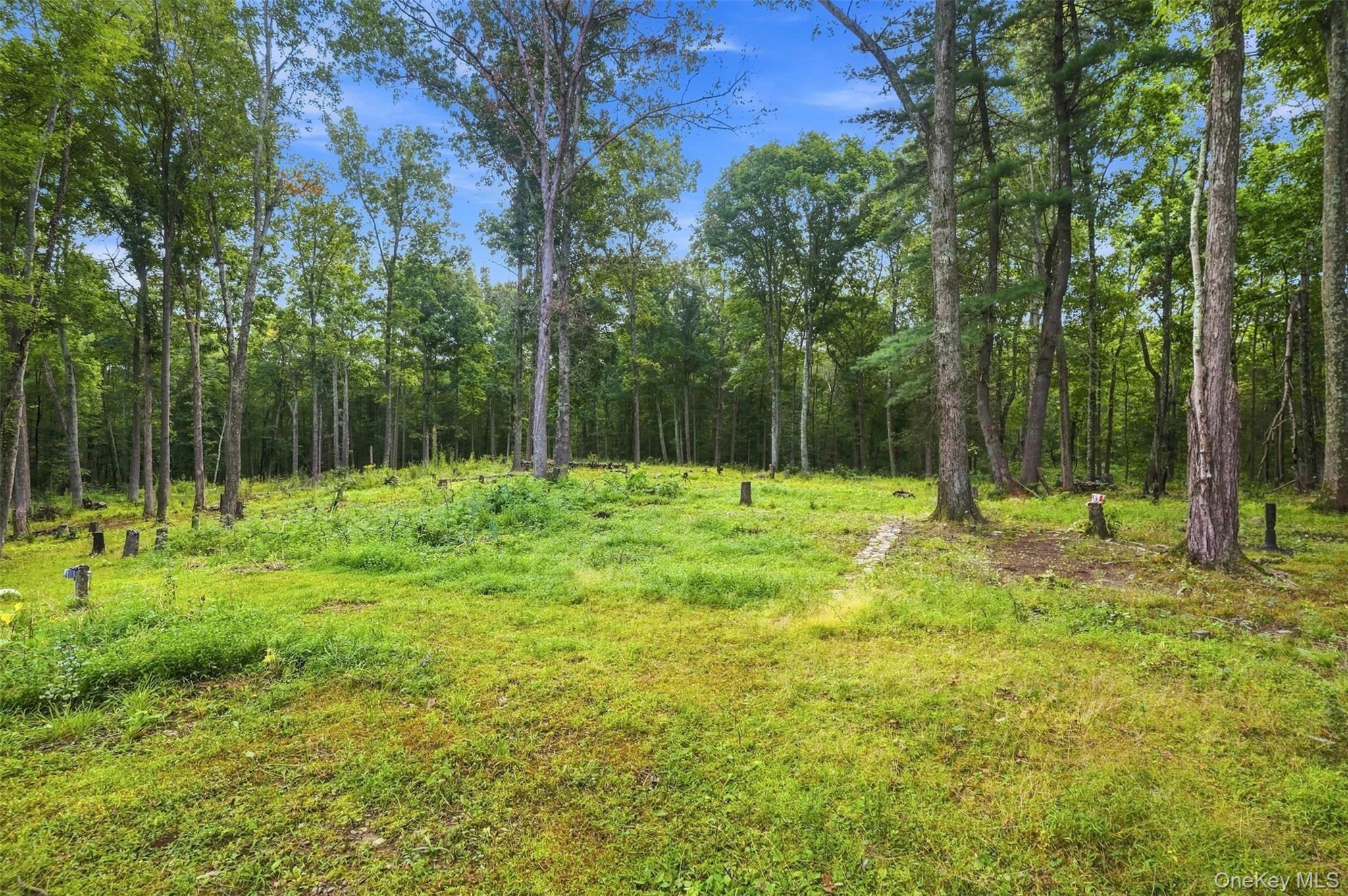 39 Jacob Rumph Court – For Sale photo 37