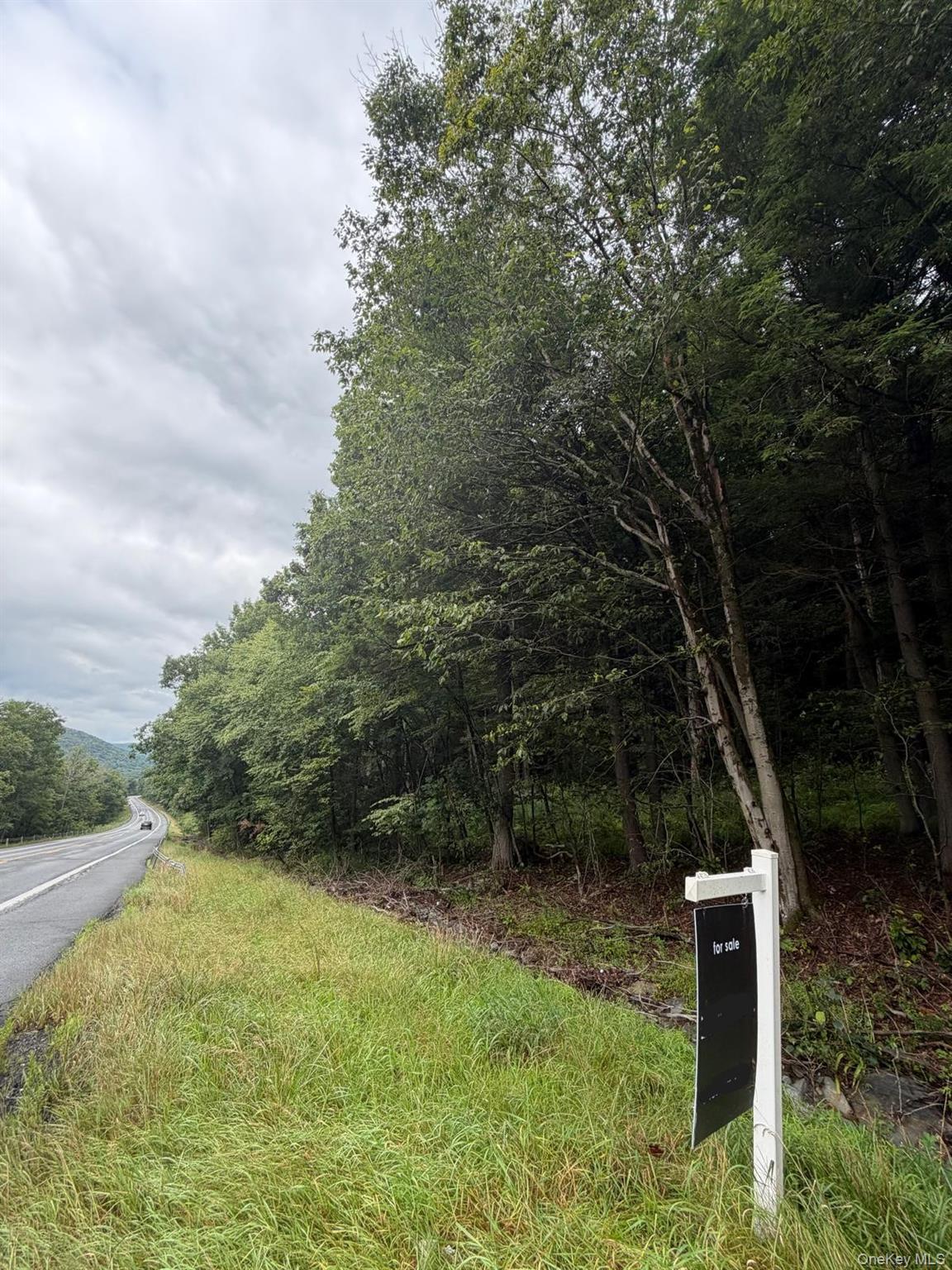 0 State Highway 97 – For Sale photo 3
