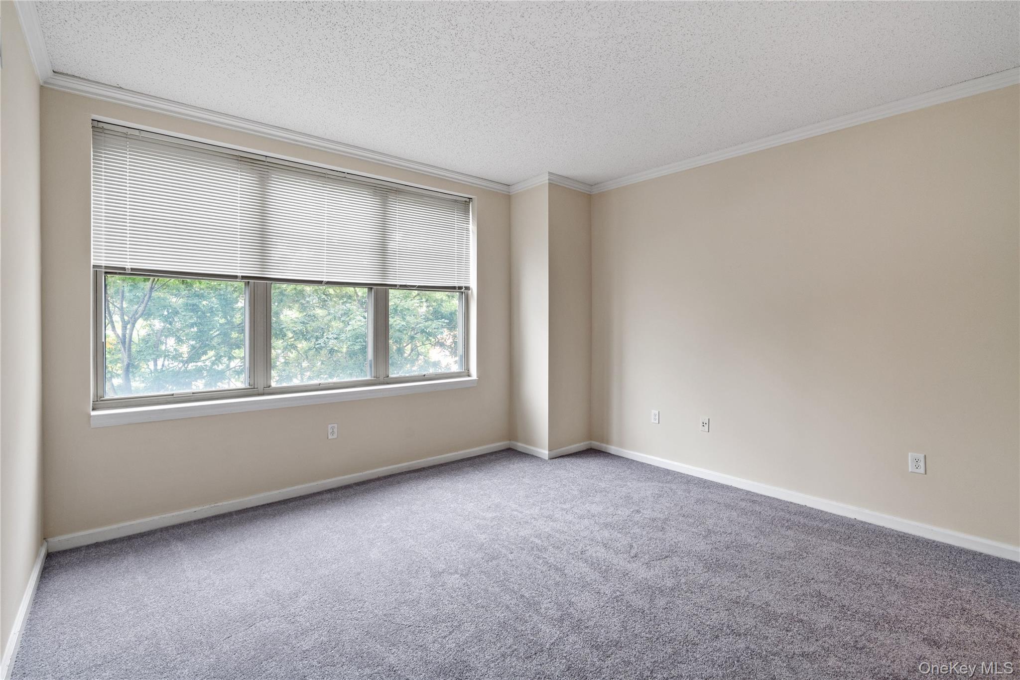 300 Mamaroneck Avenue, Unit 201 photo 15