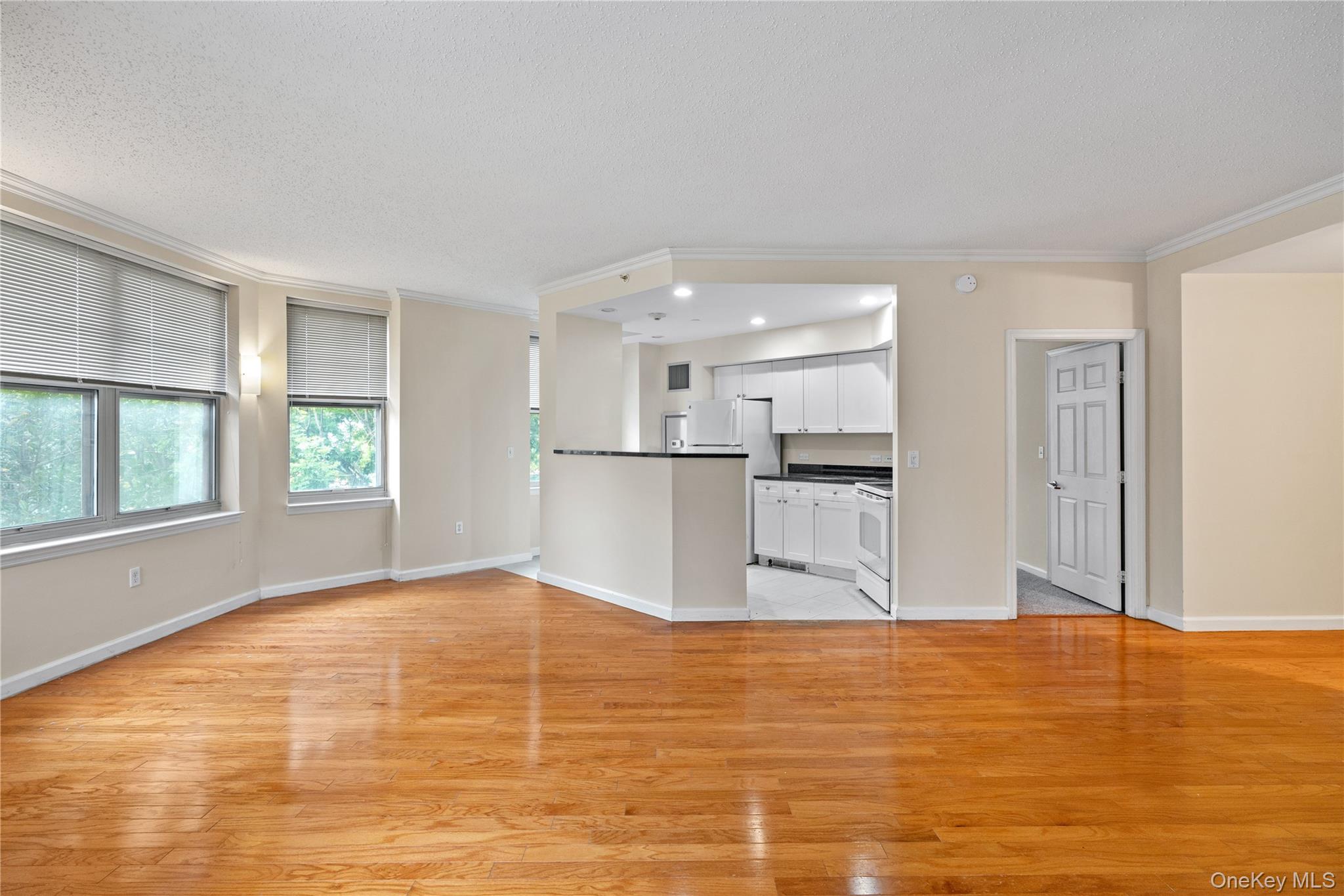 300 Mamaroneck Avenue, Unit 201 photo 10