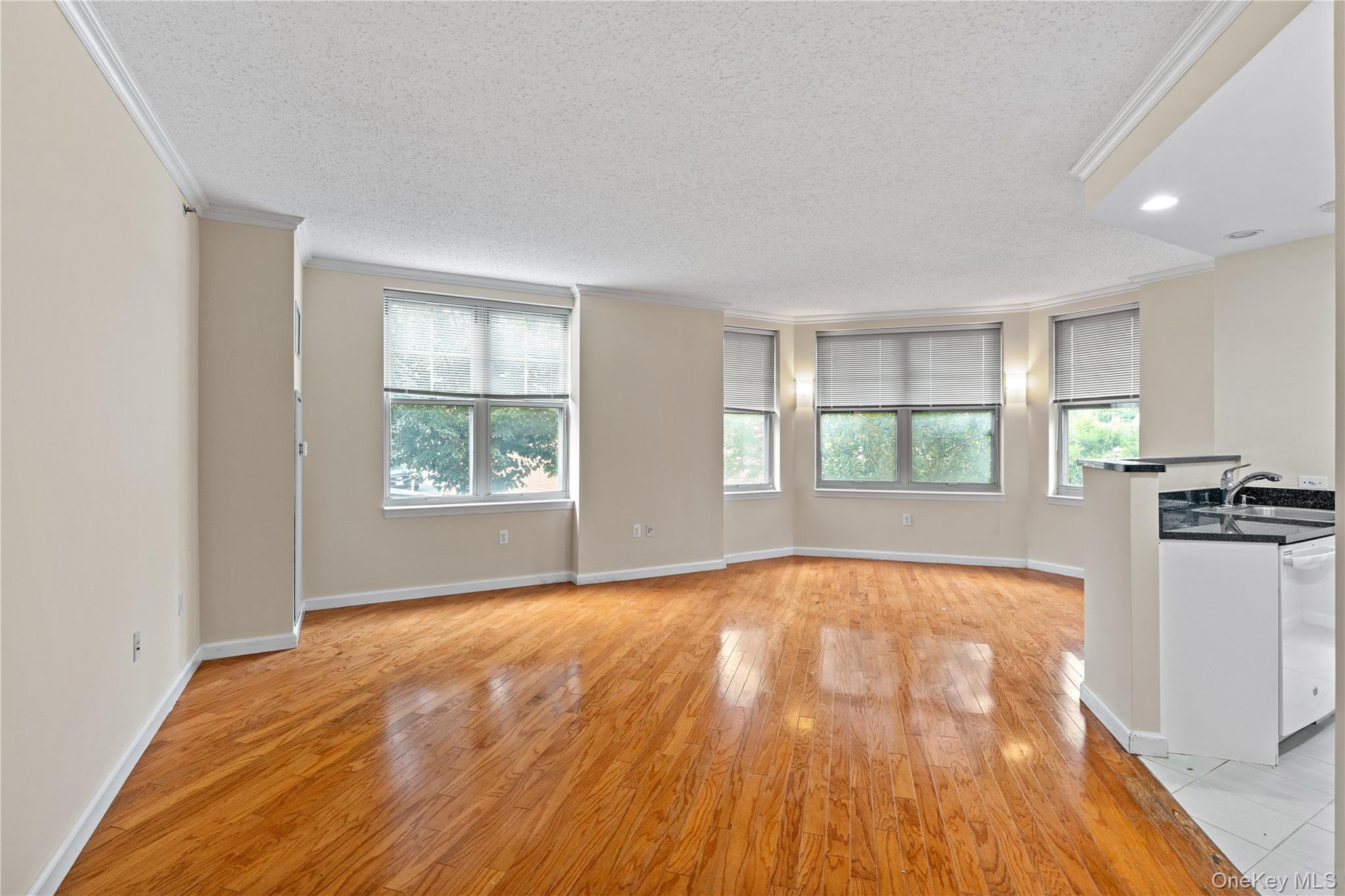 300 Mamaroneck Avenue, Unit 201 photo 9