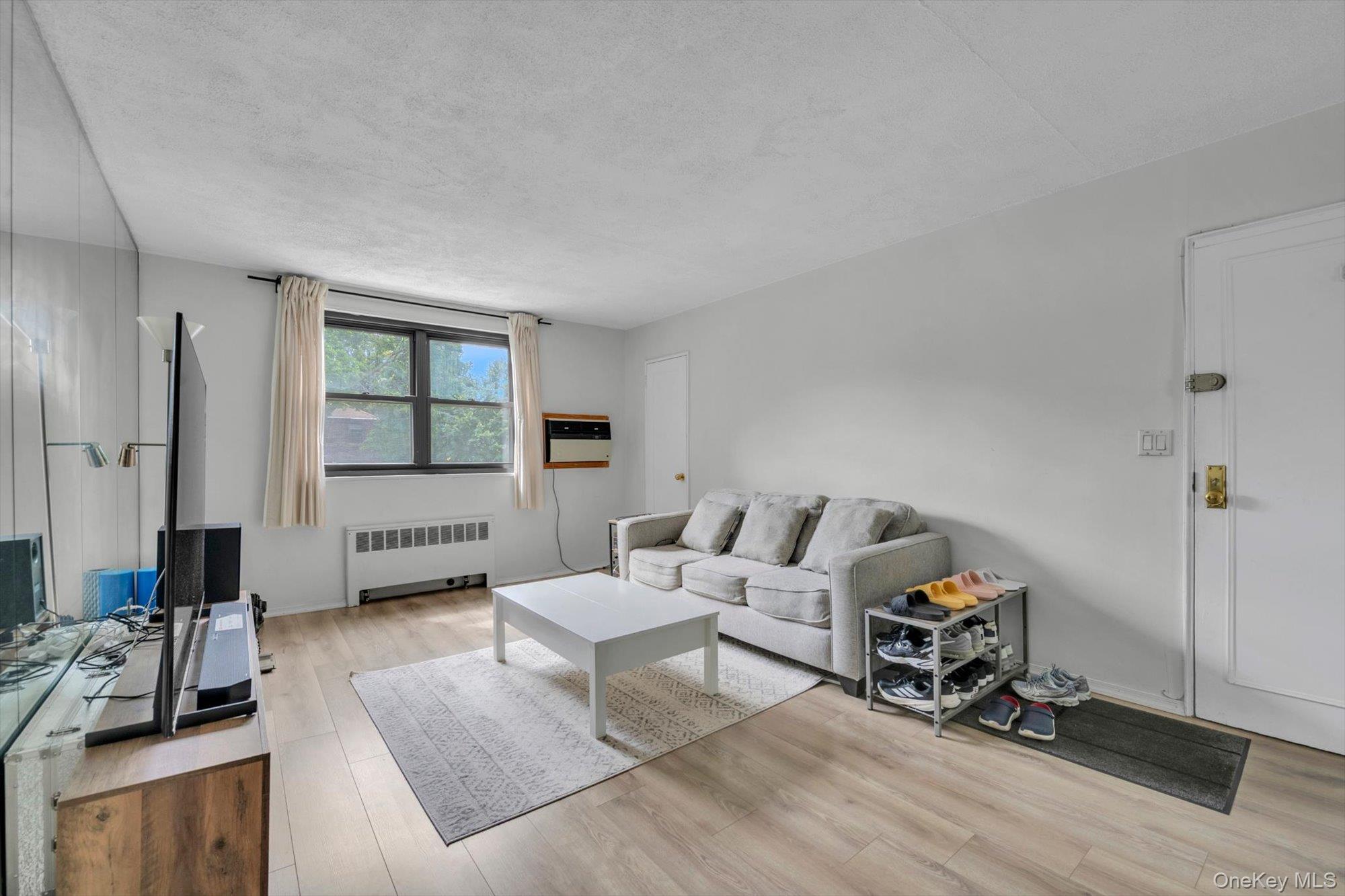 245-71 62nd Avenue, Unit B1-12 photo 4