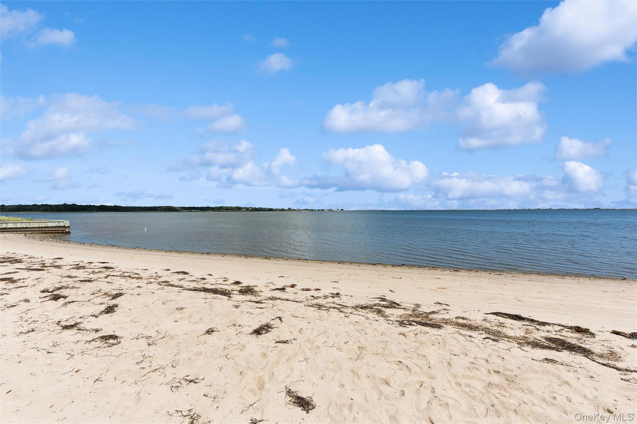 34 W End Avenue – For Sale photo 29
