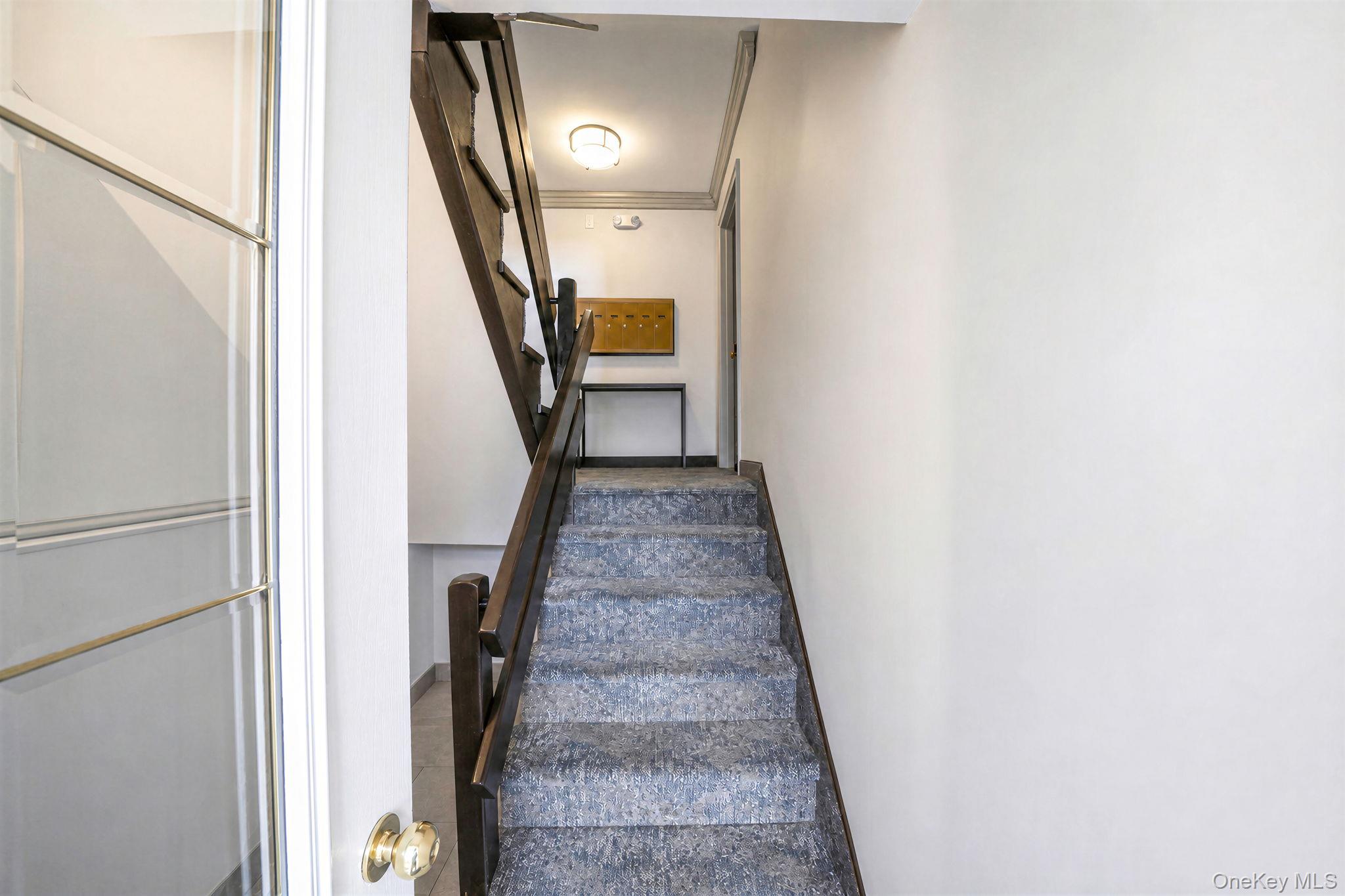 4 Edwards St, Unit 1E photo 6