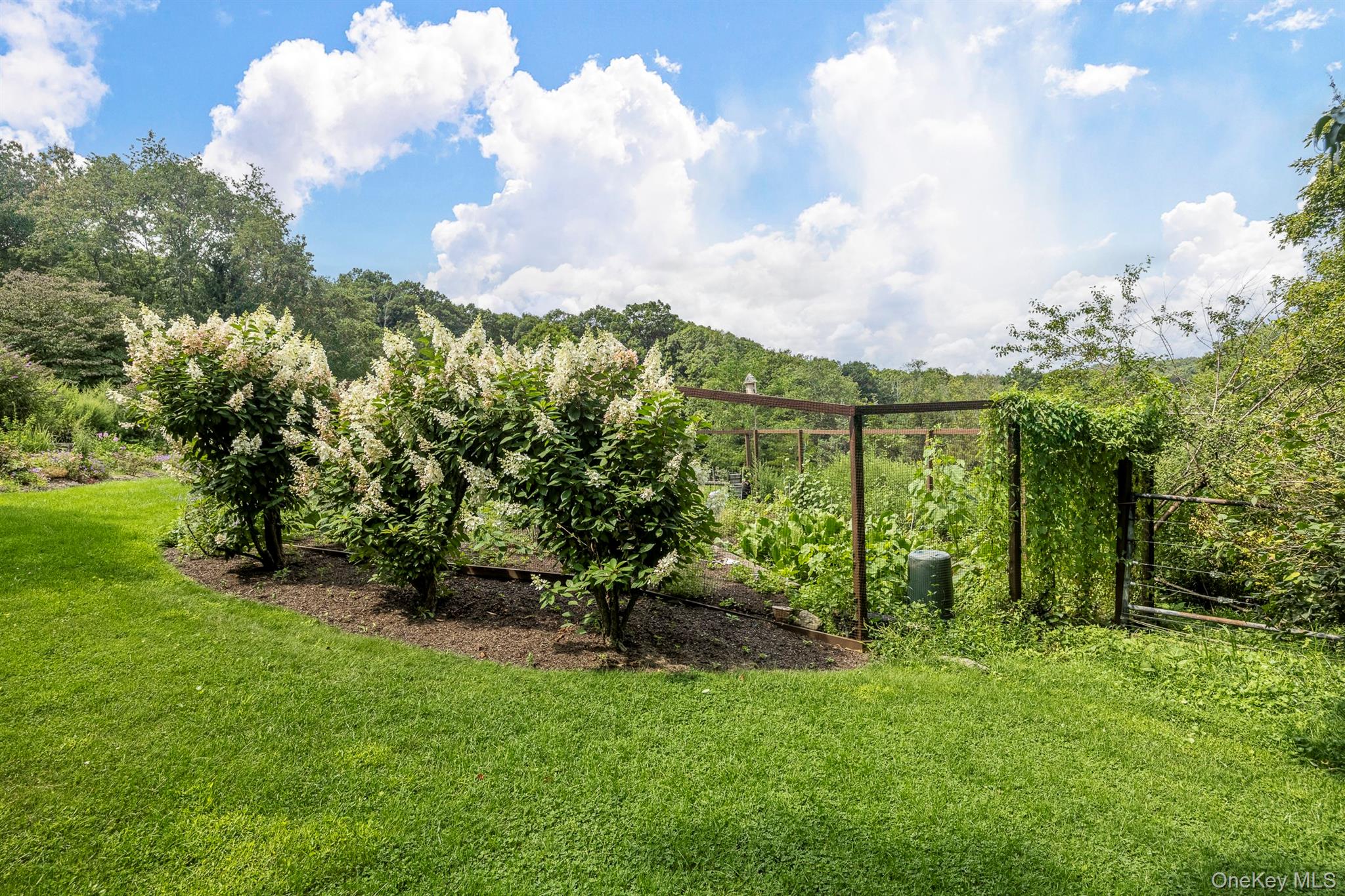 278 Hawley Road – For Sale photo 47