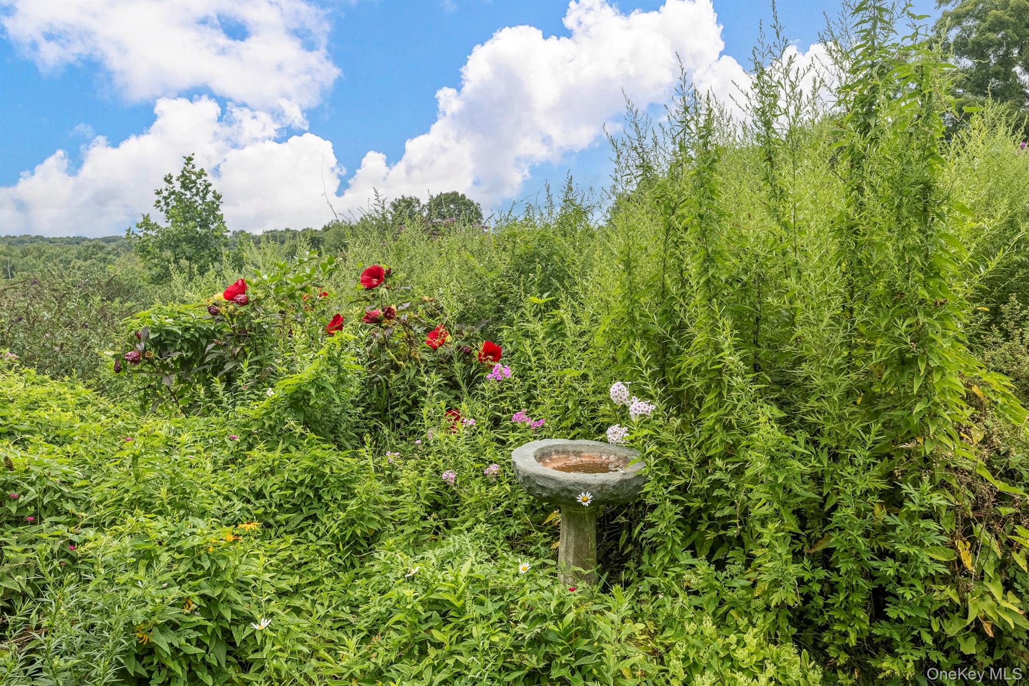 278 Hawley Road – For Sale photo 48