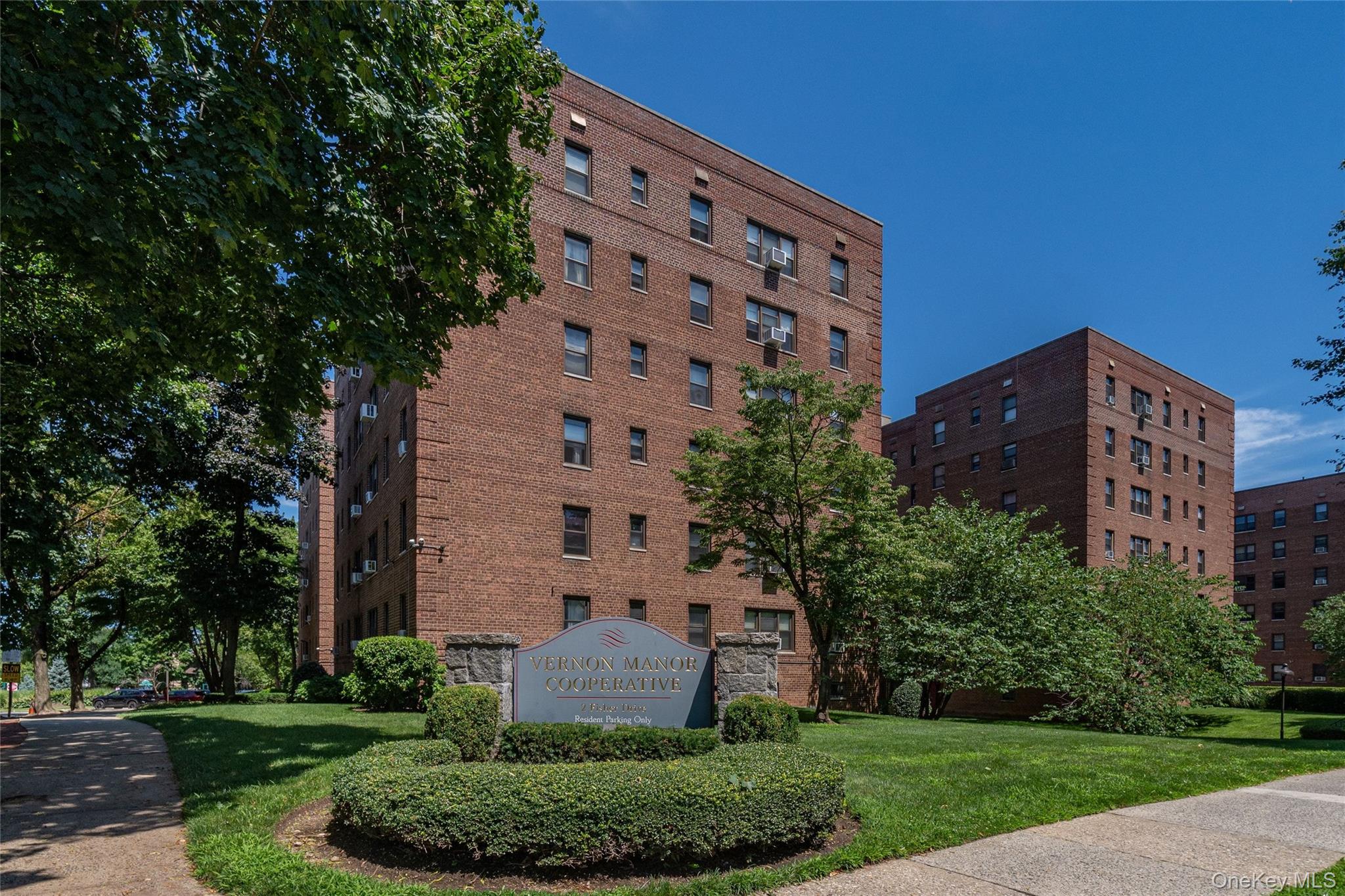 485 E Lincoln Avenue, Unit 207 photo 16