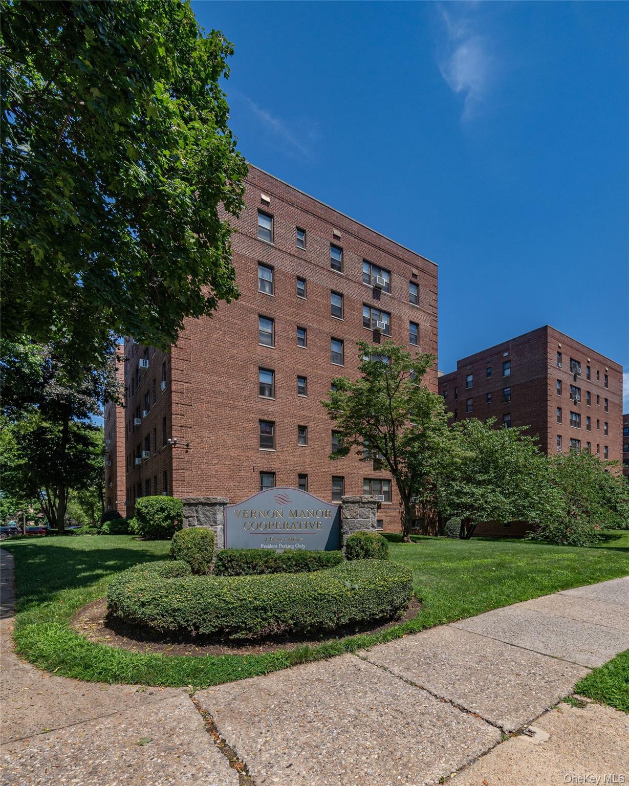 485 E Lincoln Avenue, Unit 207 photo 17