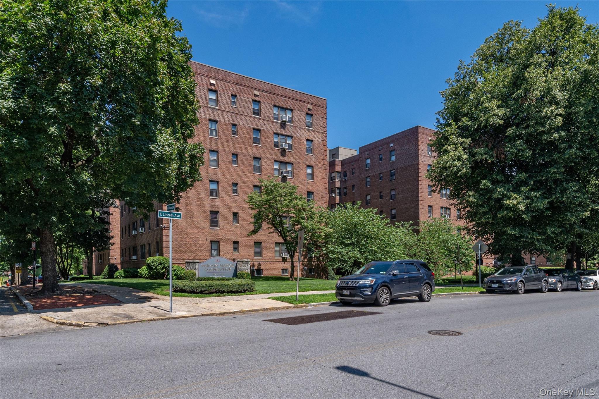 485 E Lincoln Avenue, Unit 207 photo 21