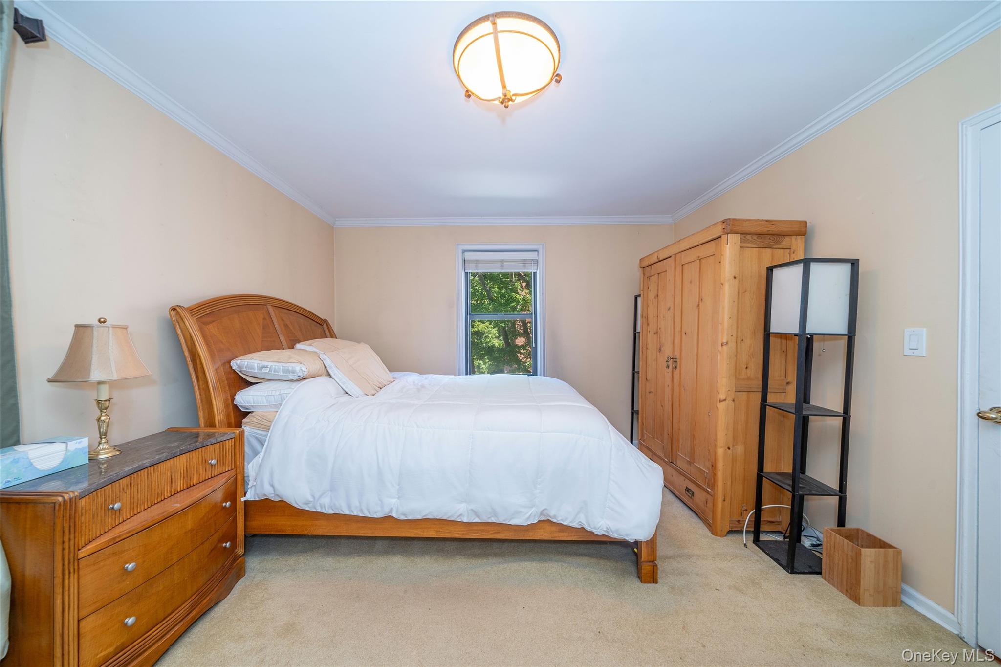 485 E Lincoln Avenue, Unit 207 photo 9