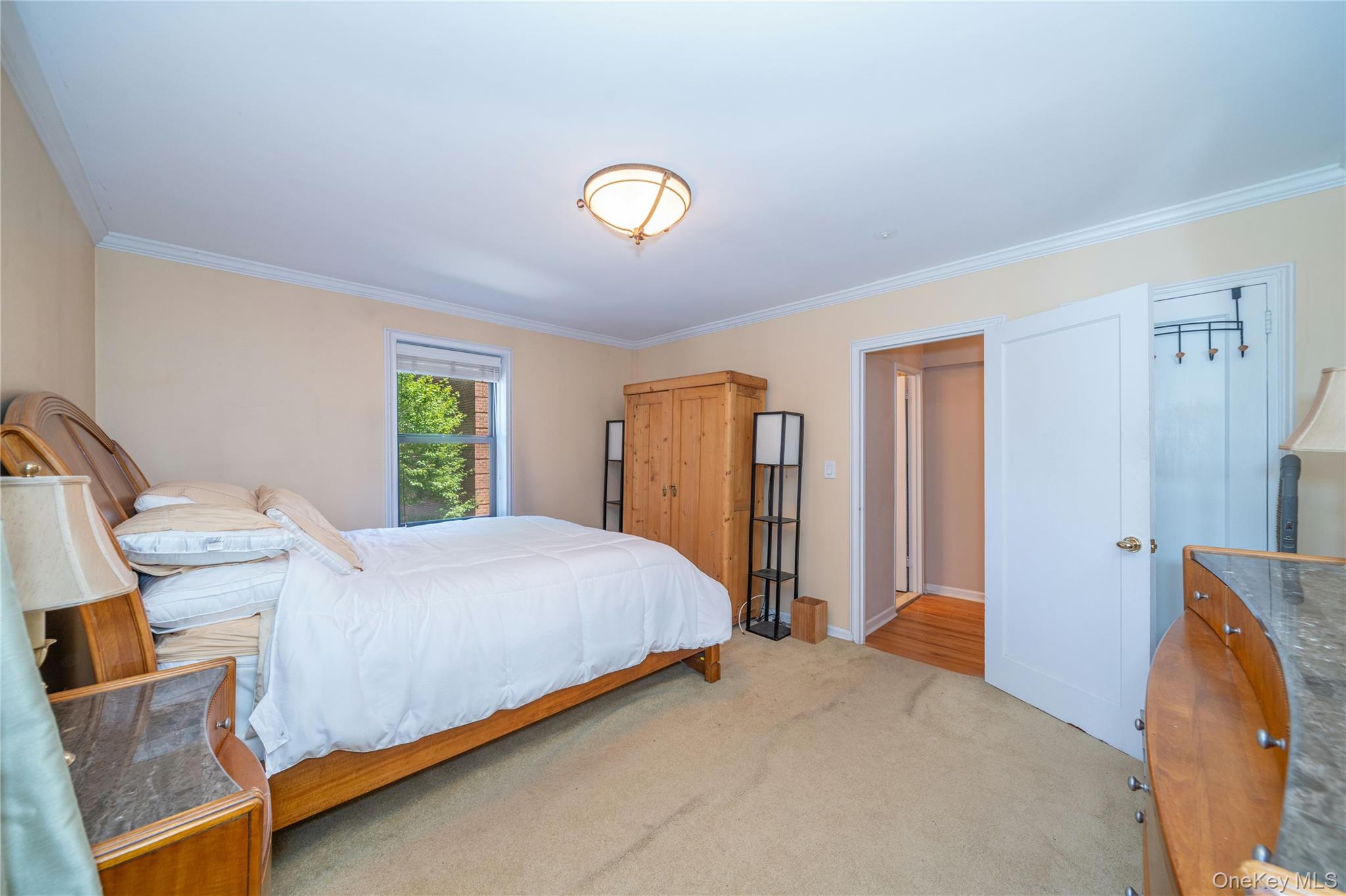 485 E Lincoln Avenue, Unit 207 photo 10