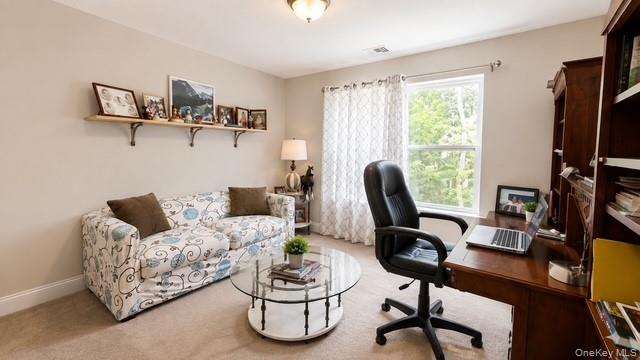 62 Mill Drive – For Sale photo 18