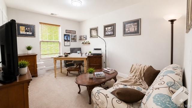 62 Mill Drive – For Sale photo 19