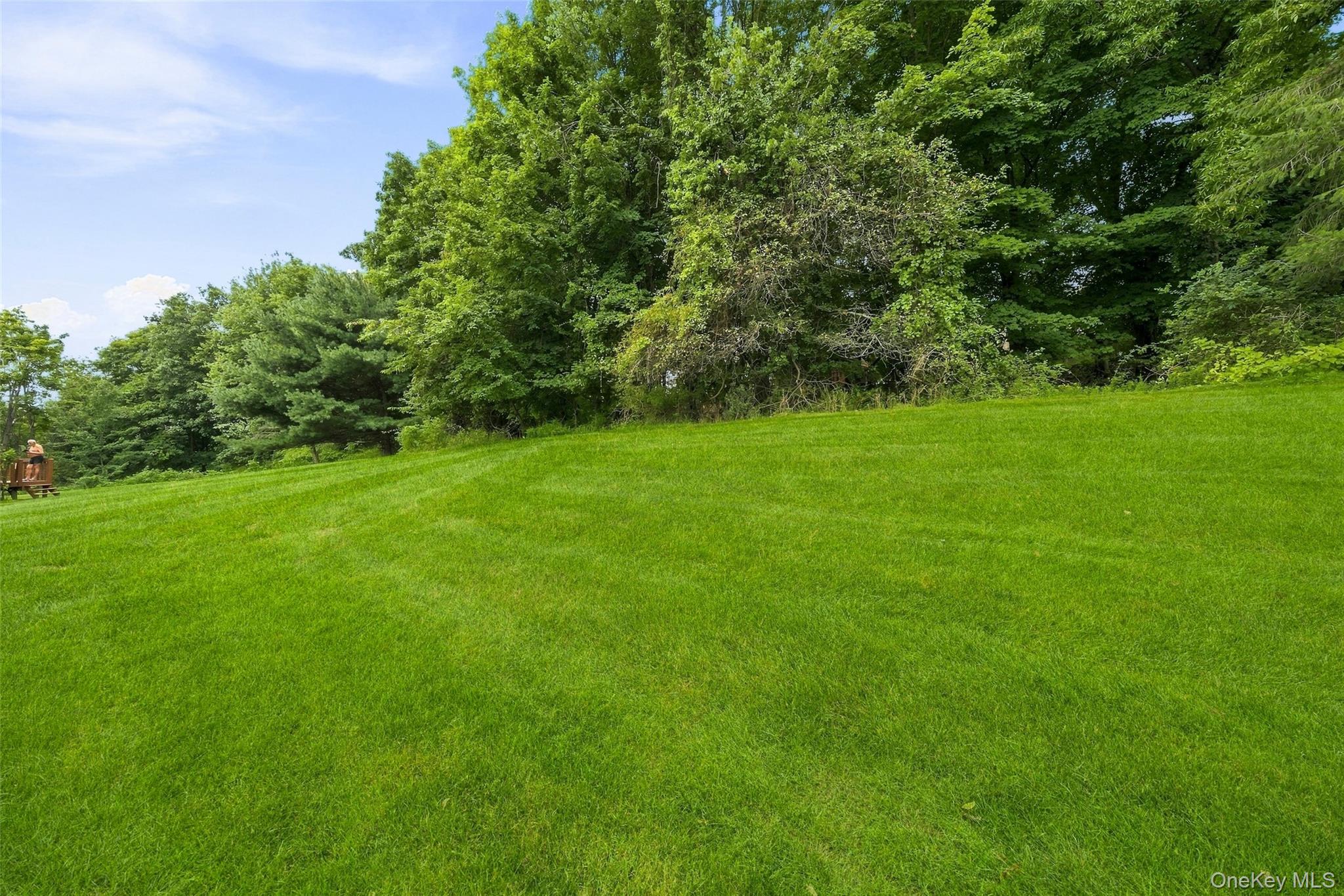 60 Rockridge Drive – For Sale photo 44