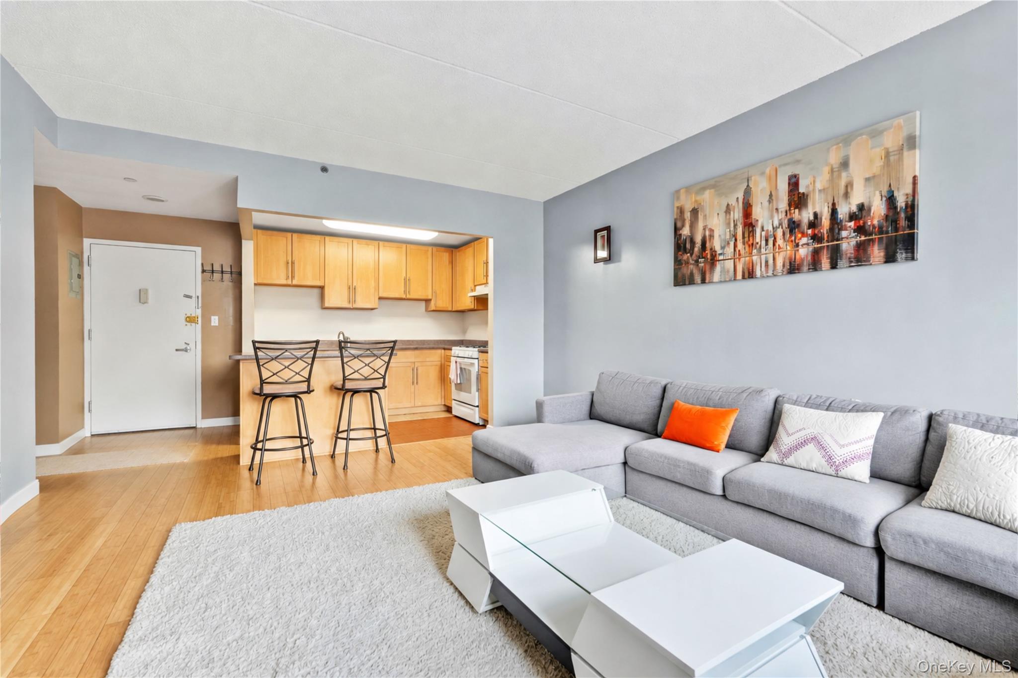837 Washington Avenue, Unit 3B photo 3