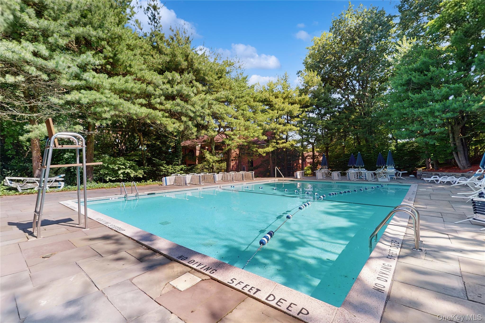 1376 Midland Avenue, Unit 404 photo 14