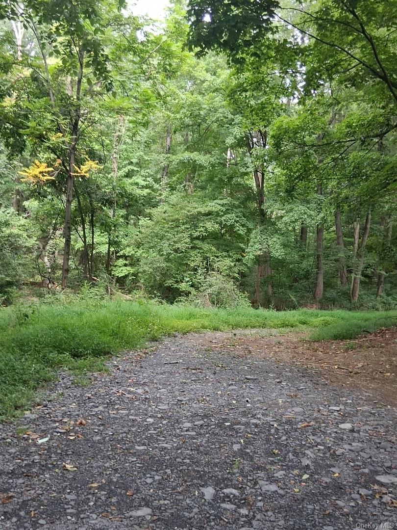 Museum Village Road – For Sale photo 2