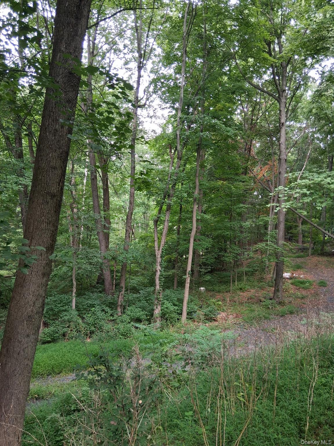 Museum Village Road – For Sale