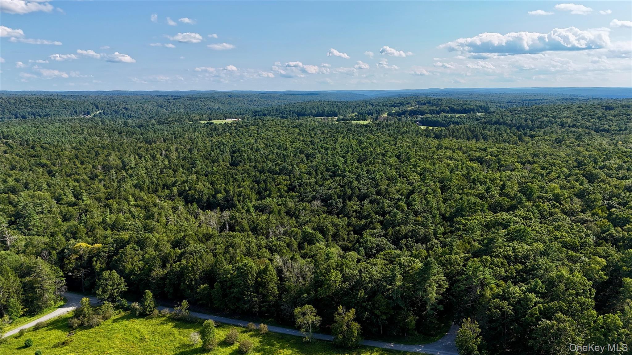 TBD Stony Road – For Sale photo 39