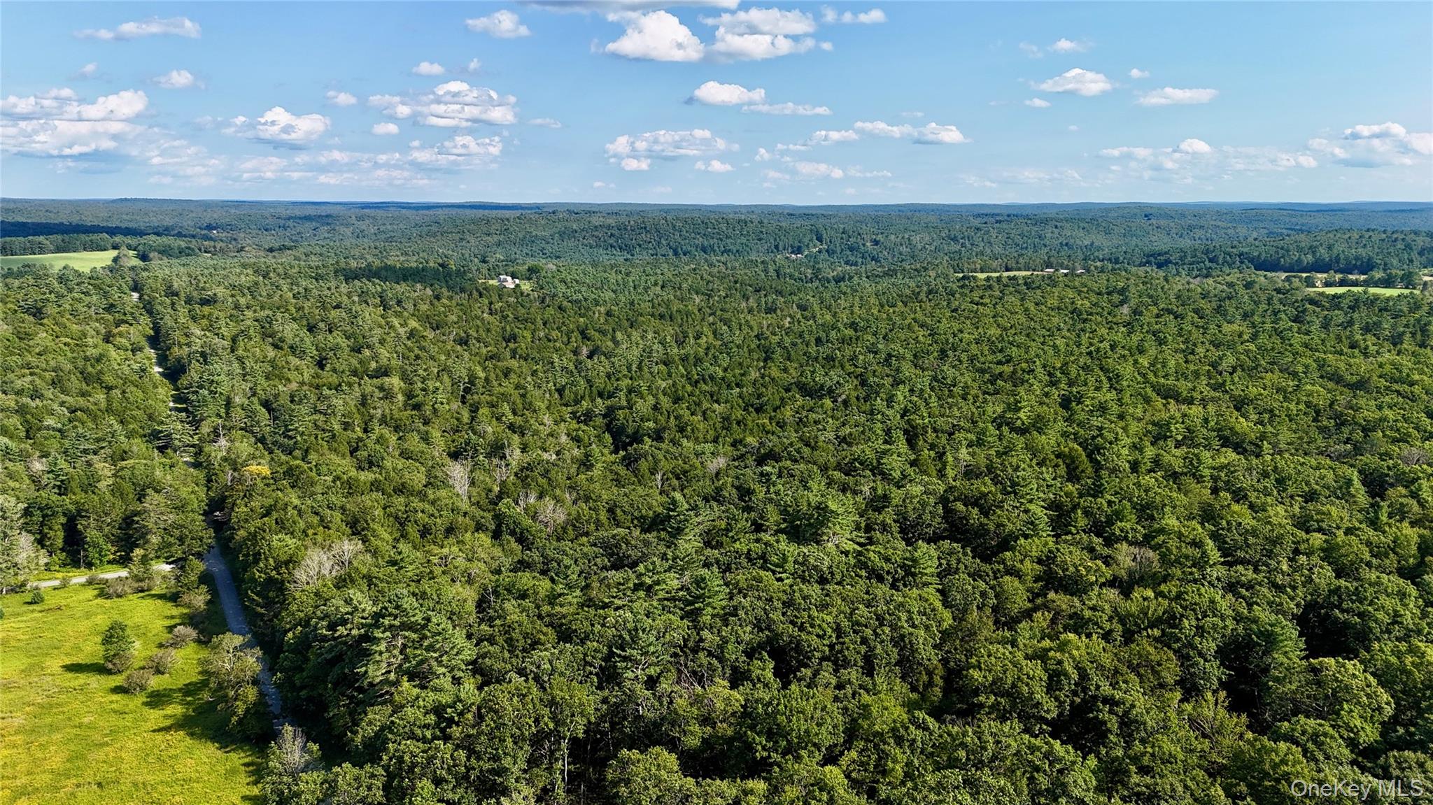 TBD Stony Road – For Sale photo 2