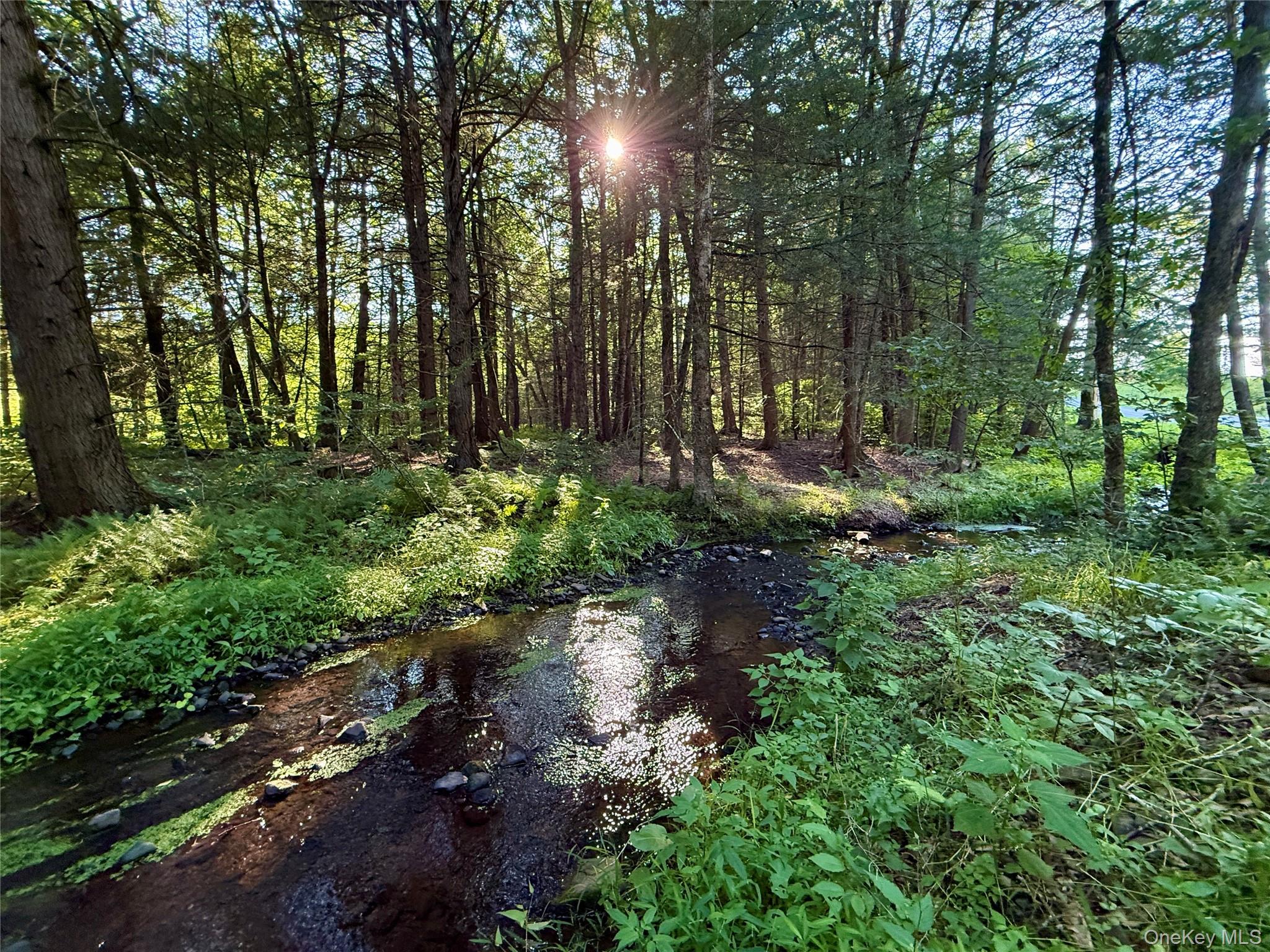 TBD Stony Road – For Sale photo 4