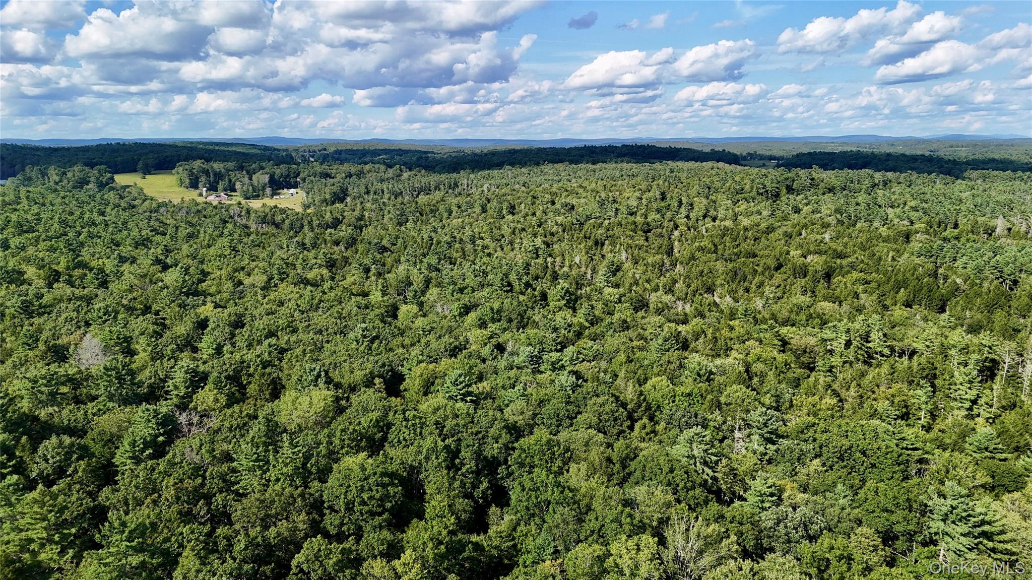 TBD Stony Road – For Sale photo 10