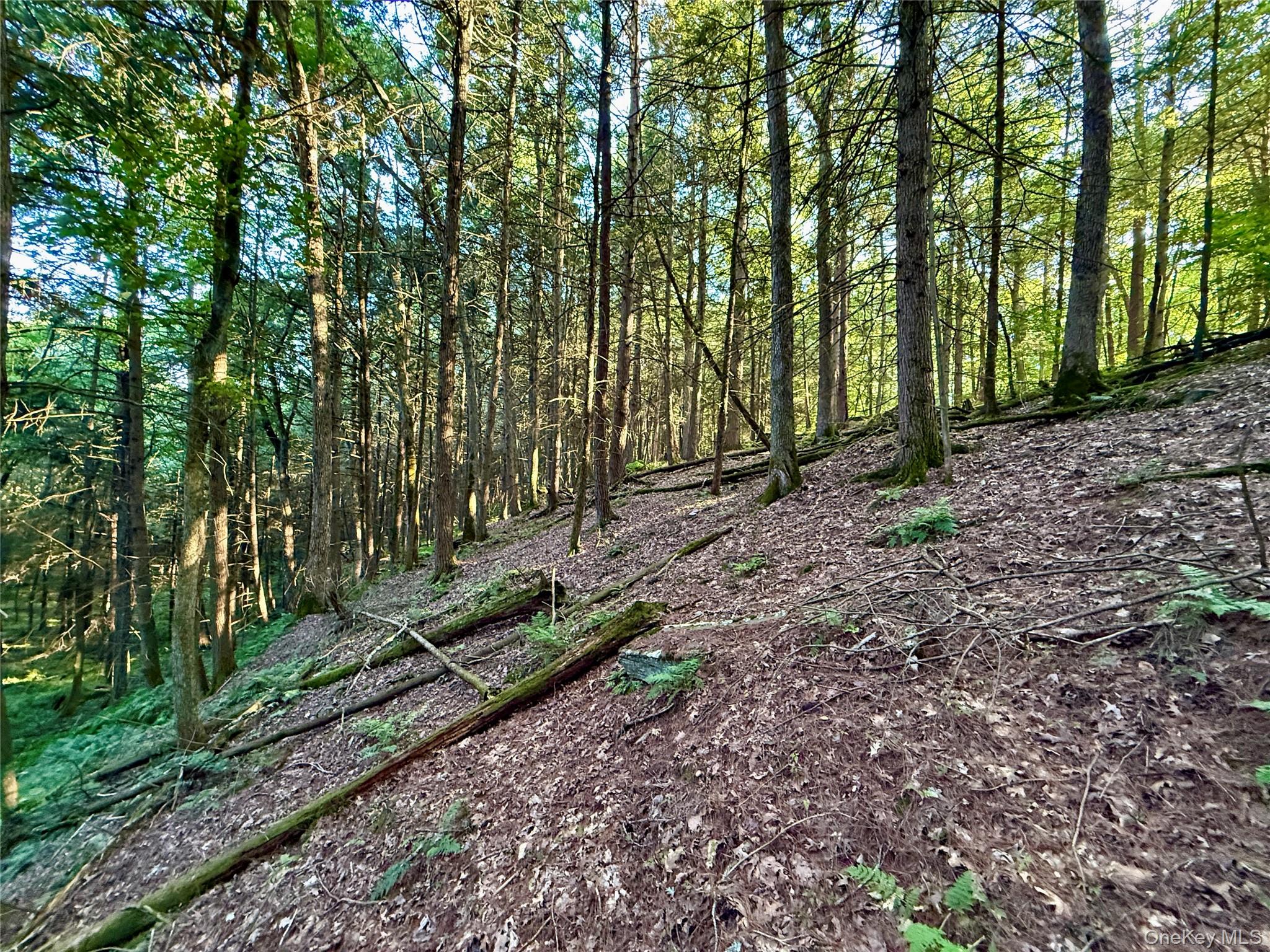 TBD Stony Road – For Sale photo 34