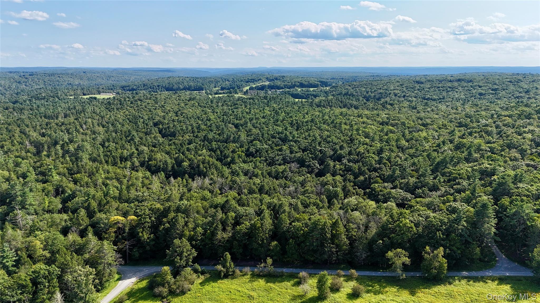 TBD Stony Road – For Sale photo 16
