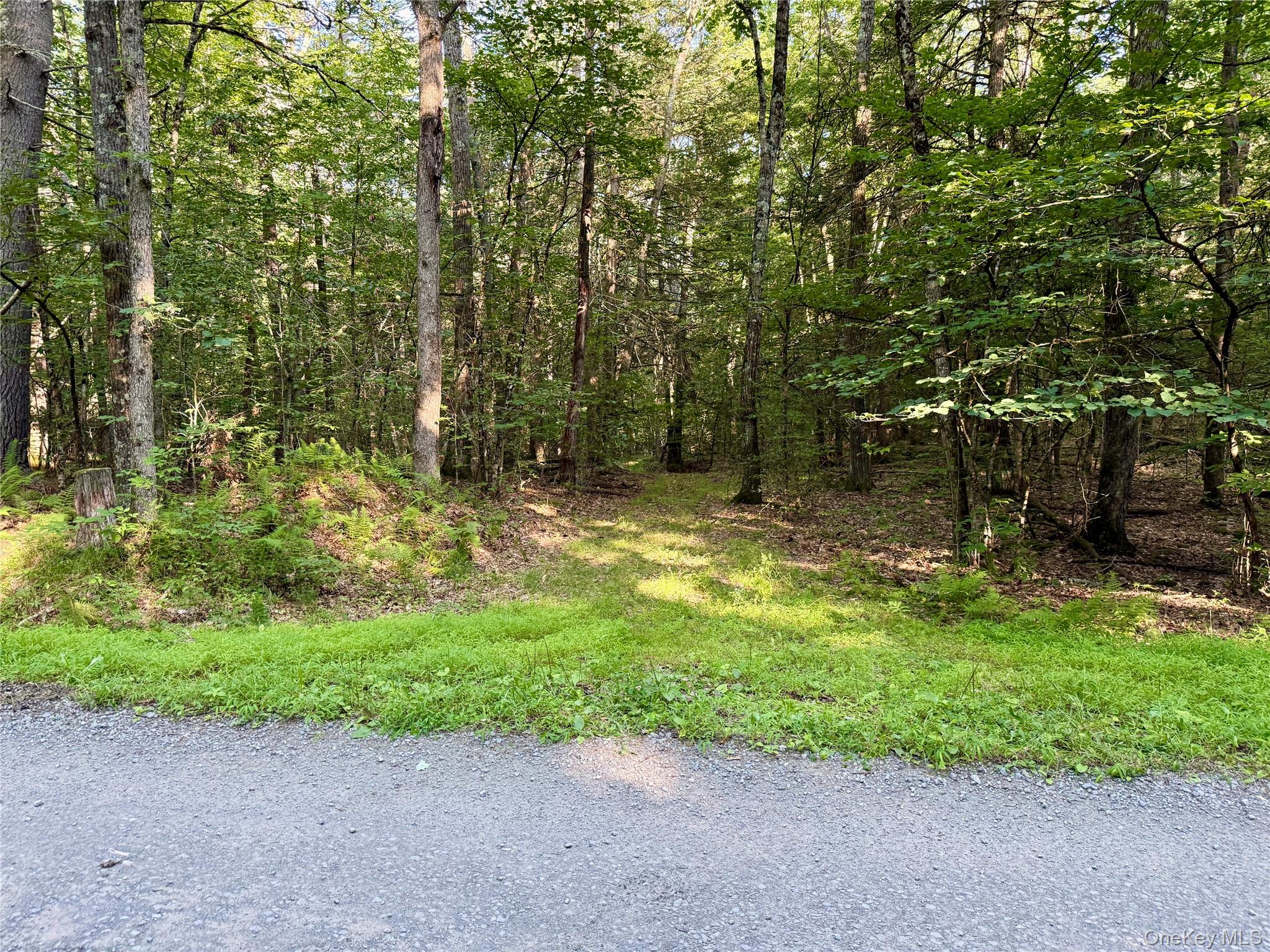 TBD Stony Road – For Sale photo 18