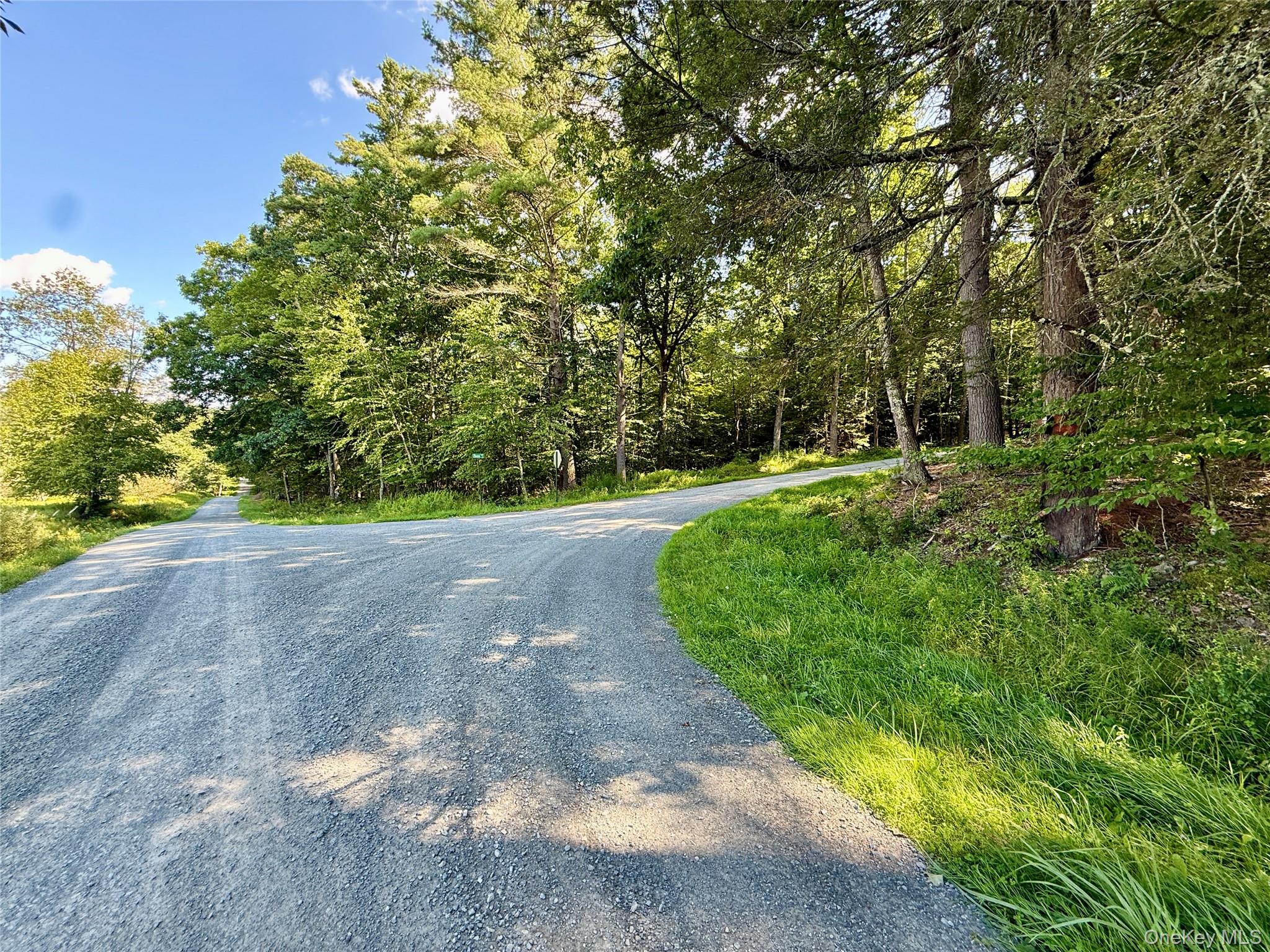 TBD Stony Road – For Sale photo 15