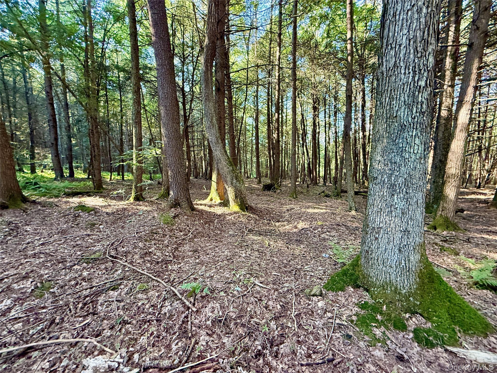 TBD Stony Road – For Sale photo 22