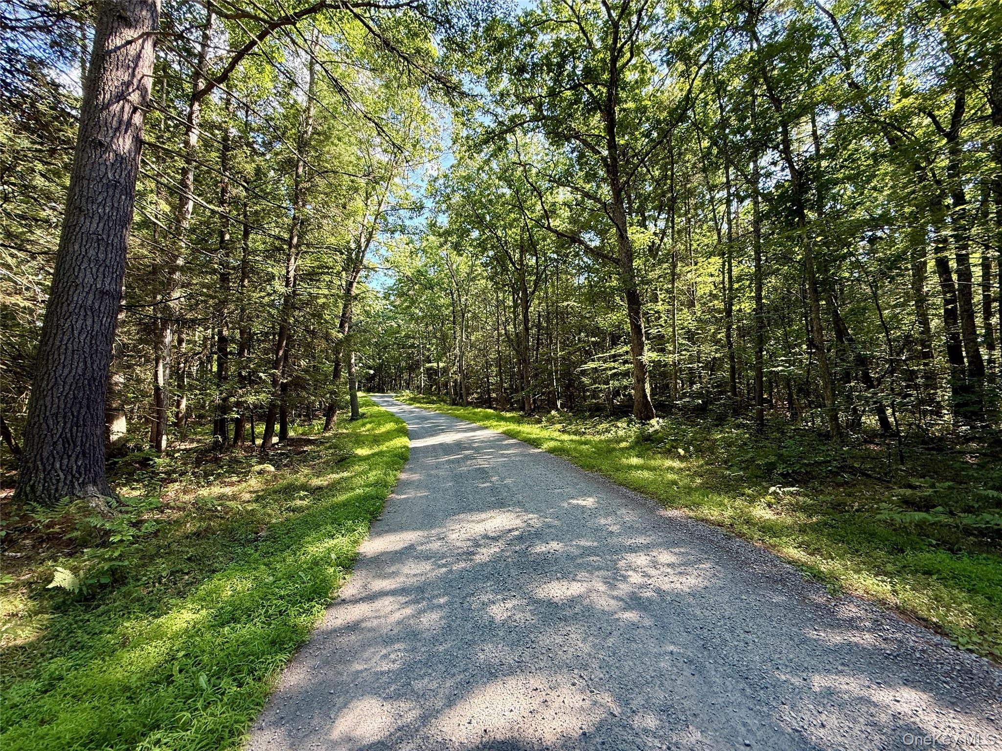TBD Stony Road – For Sale photo 17