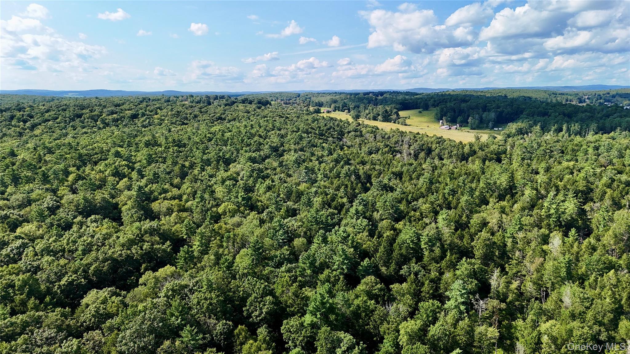 TBD Stony Road – For Sale photo 11