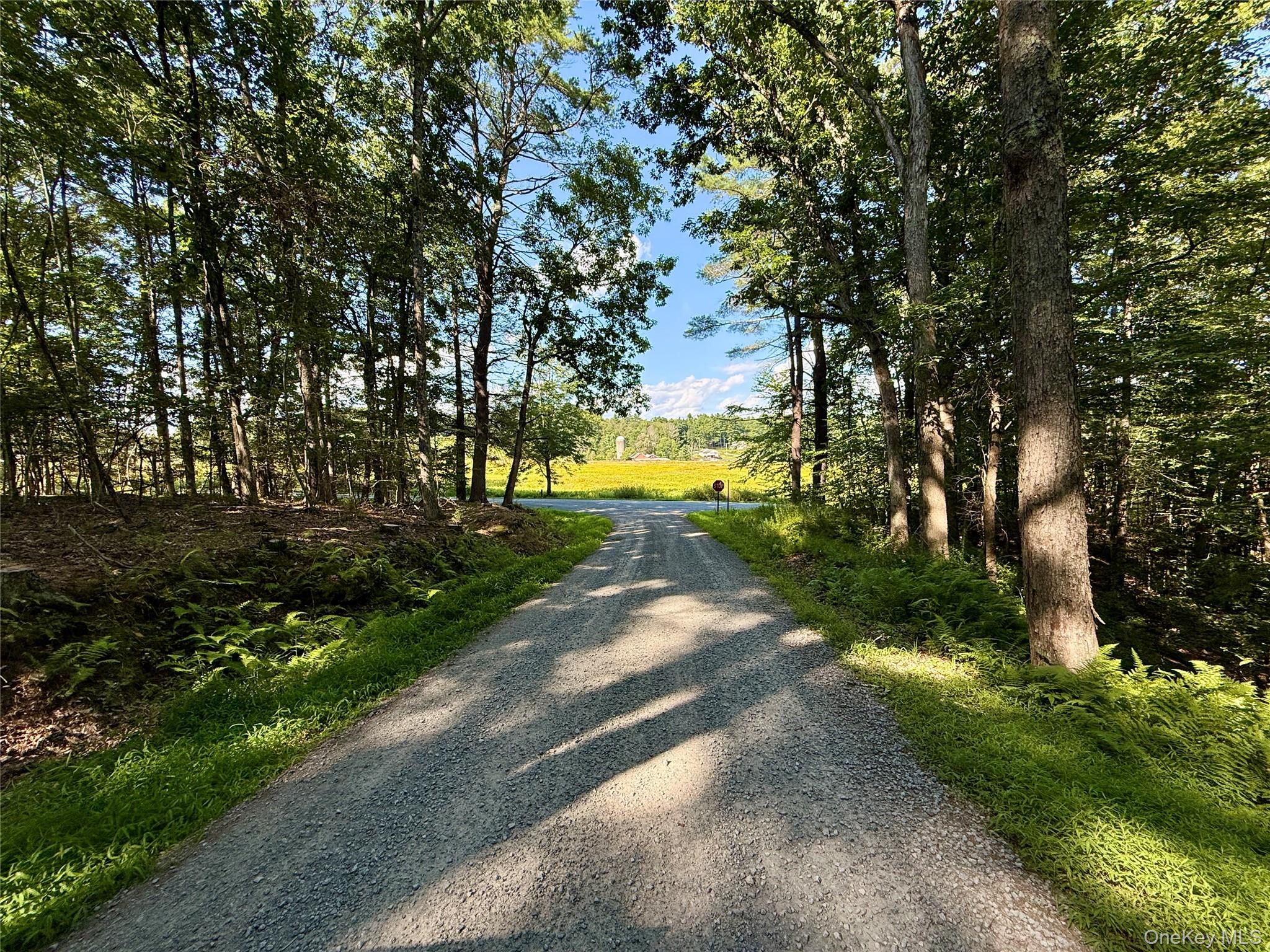 TBD Stony Road – For Sale photo 14