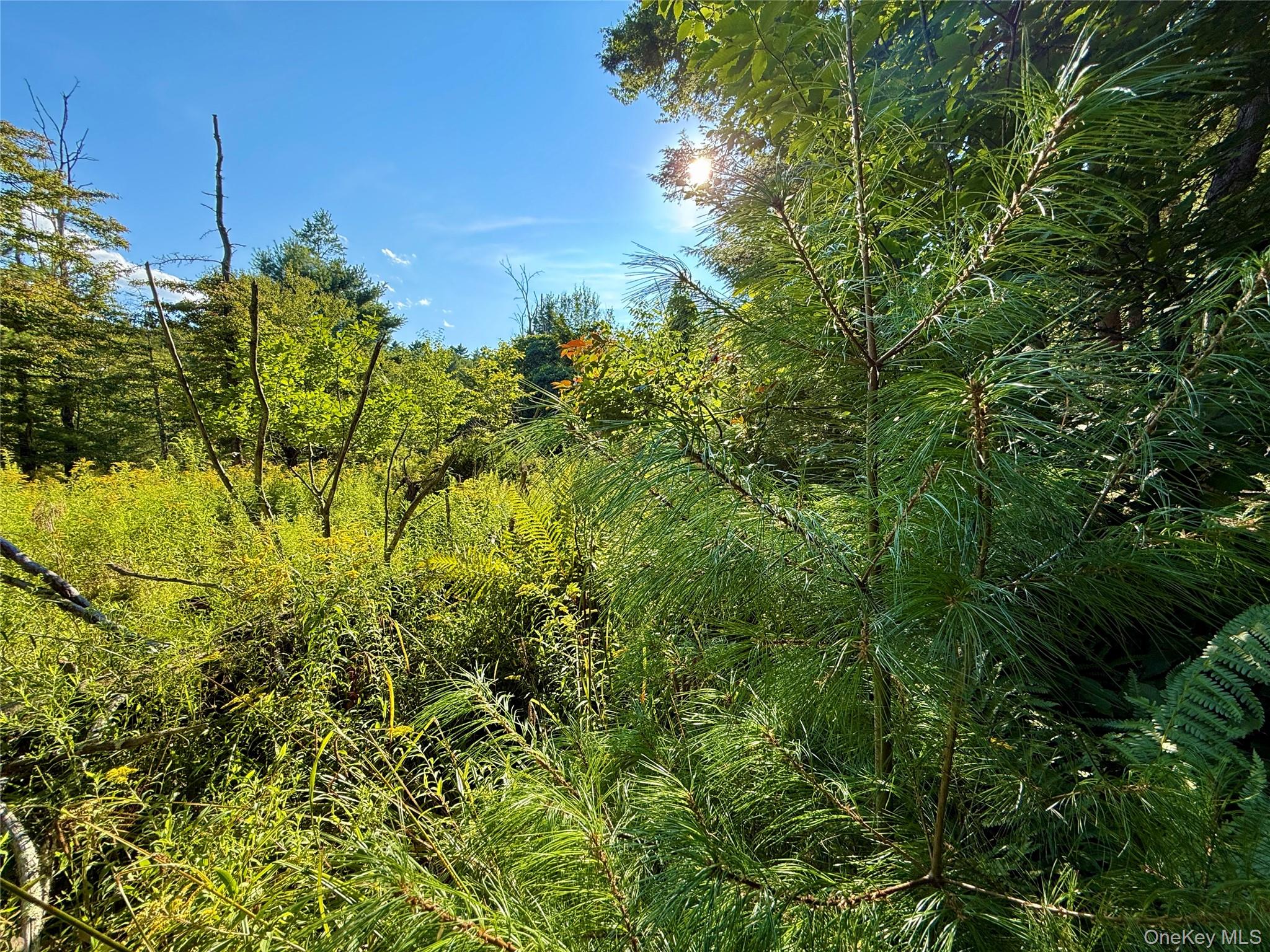 TBD Stony Road – For Sale photo 33