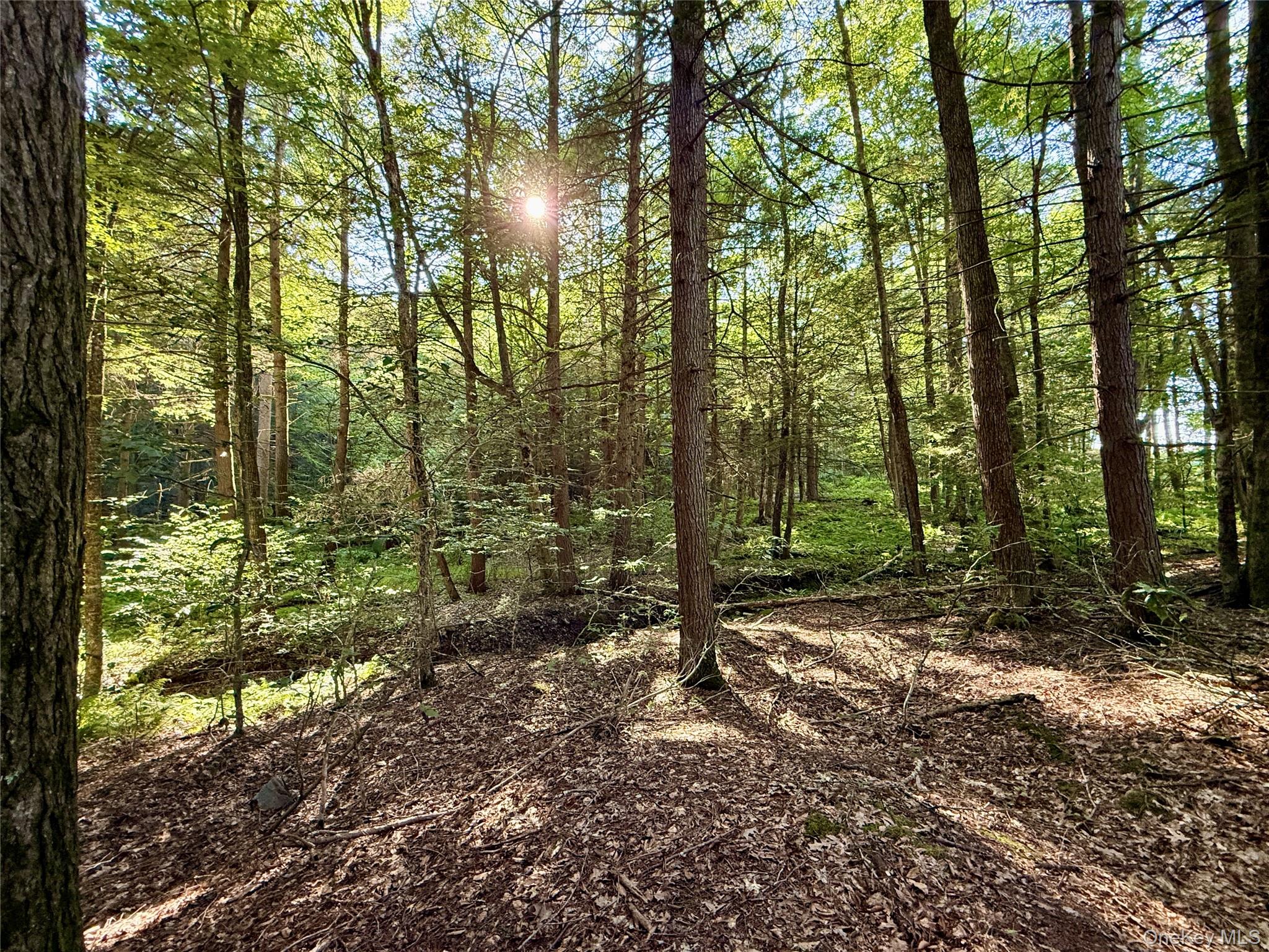 TBD Stony Road – For Sale photo 31