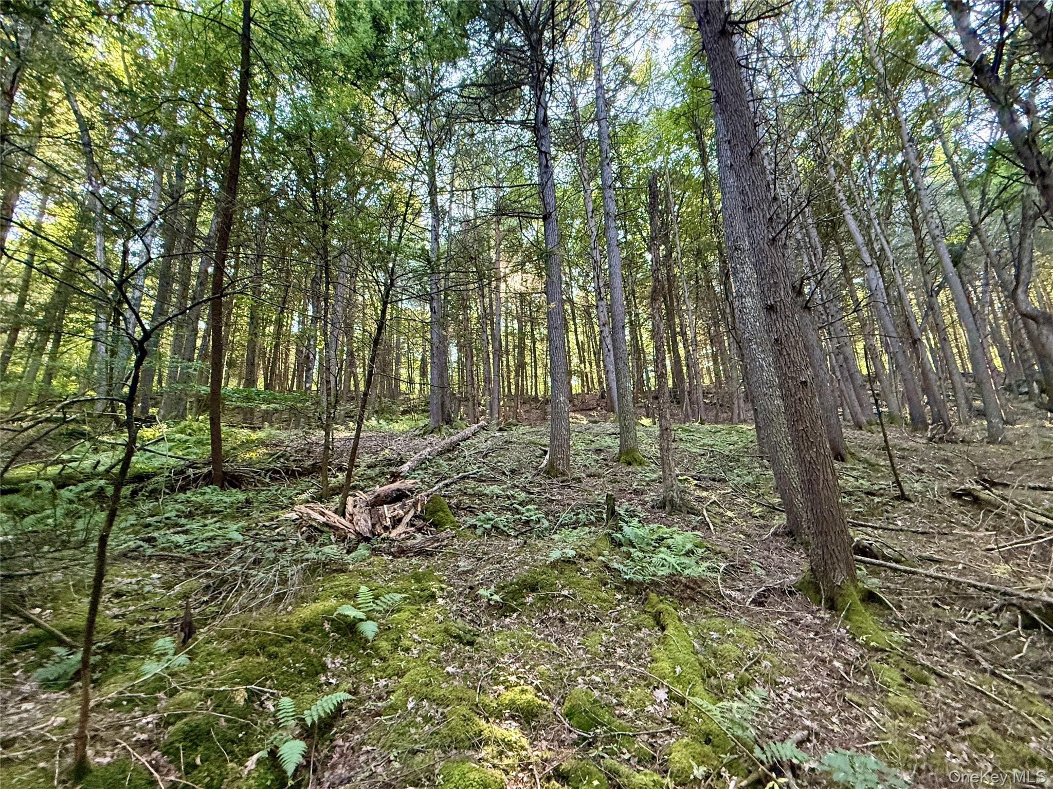 TBD Stony Road – For Sale photo 27