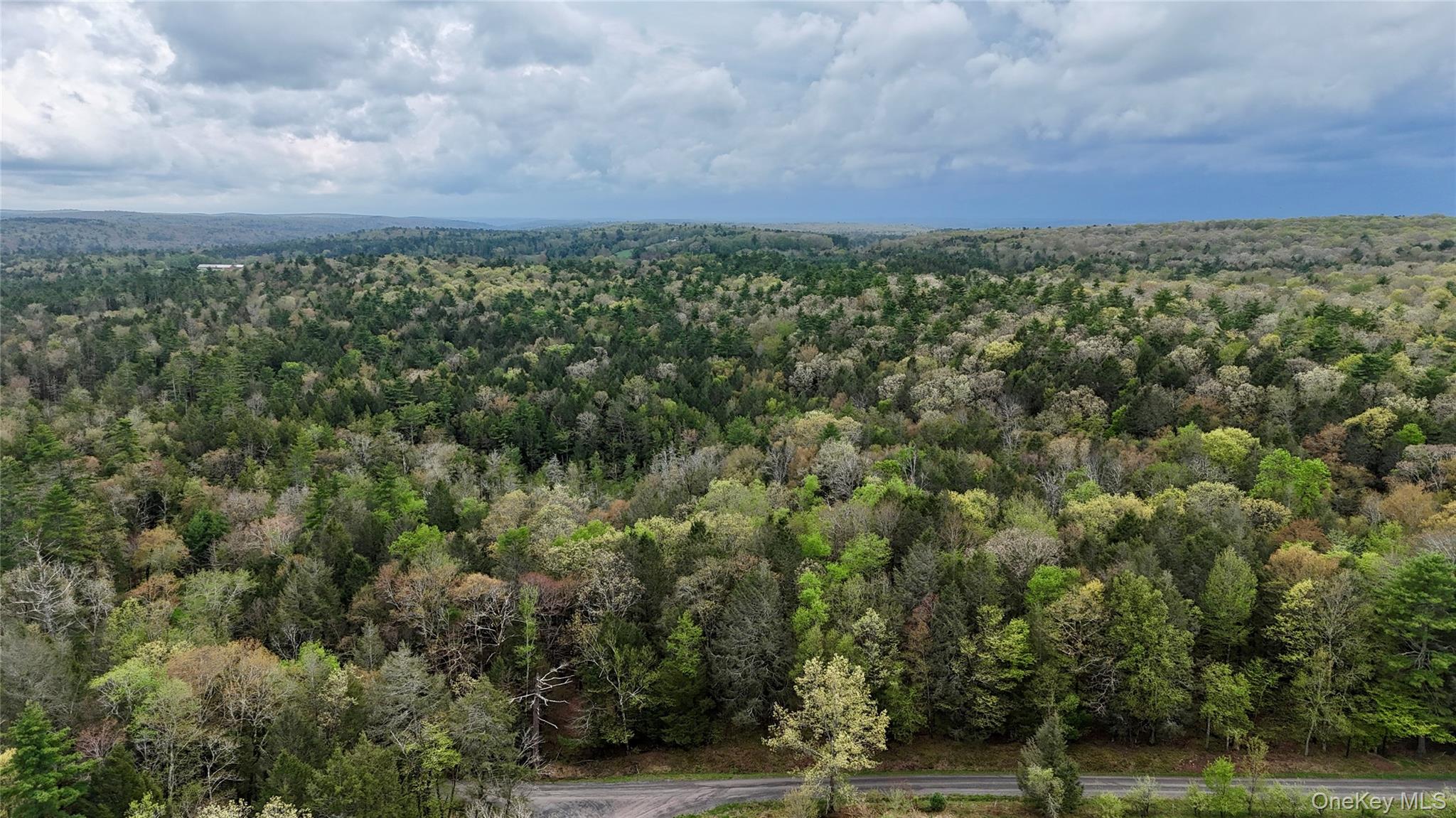 TBD Stony Road – For Sale photo 43