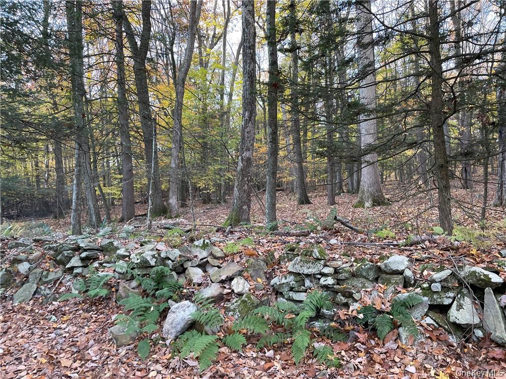 13 Birch Street – For Sale photo 9