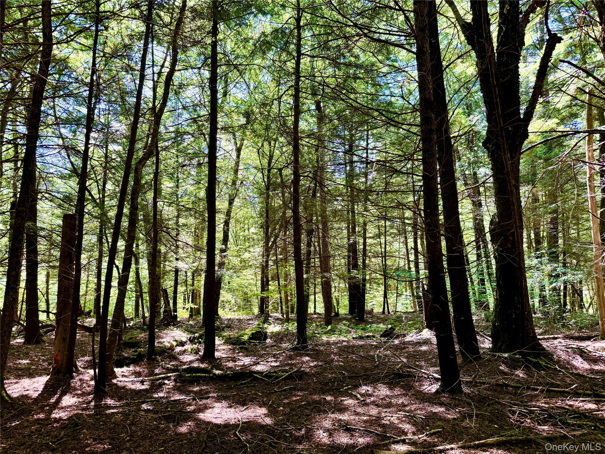 00 Town Park Road – For Sale photo 5