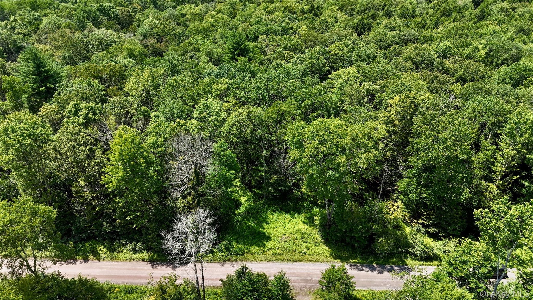 00 Town Park Road – For Sale photo 14