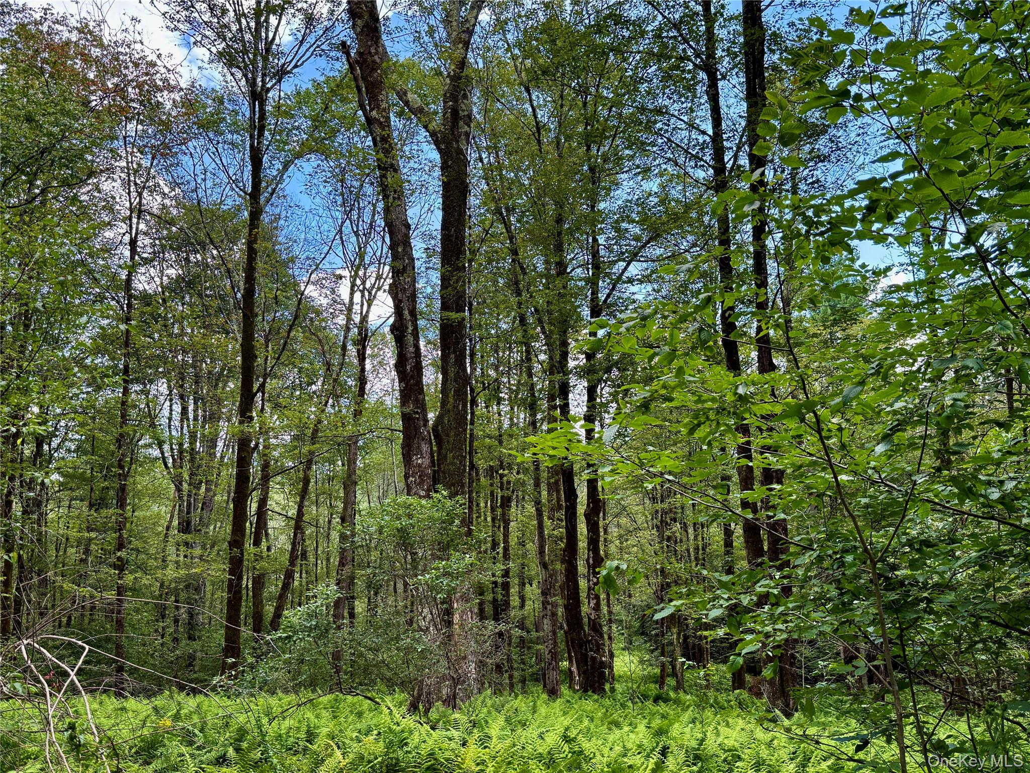 00 Town Park Road – For Sale photo 20