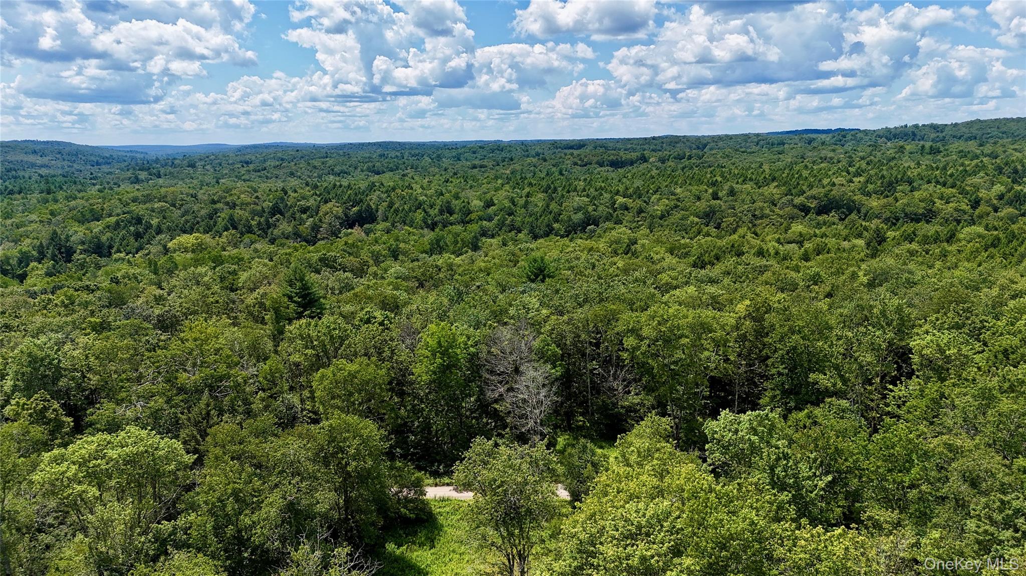 00 Town Park Road – For Sale photo 12