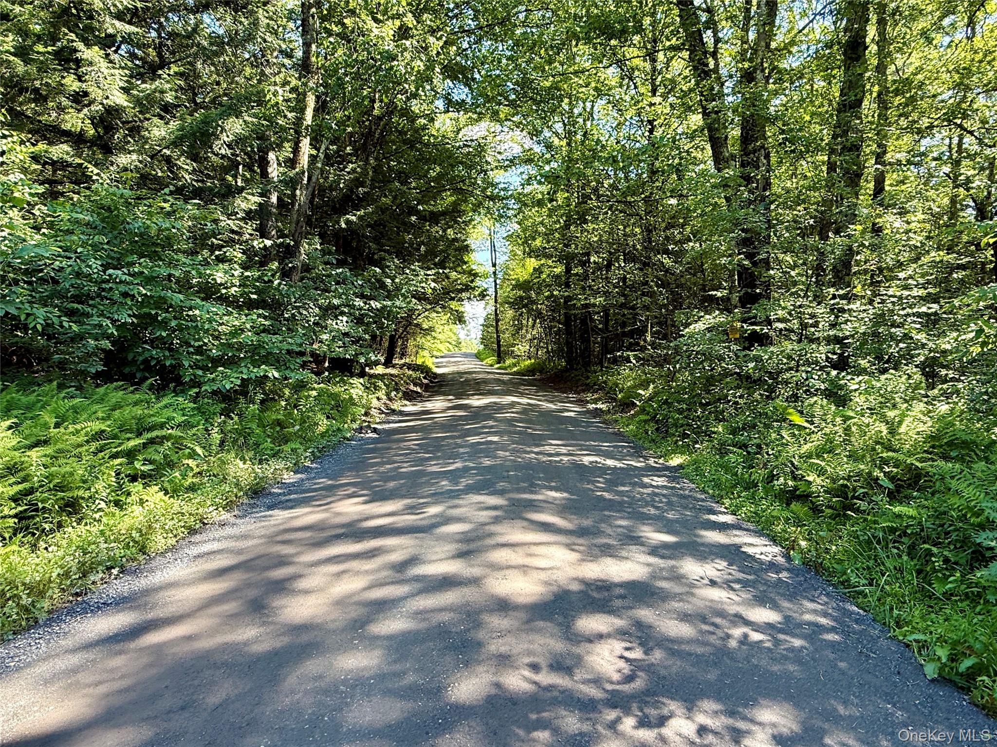 00 Town Park Road – For Sale photo 45